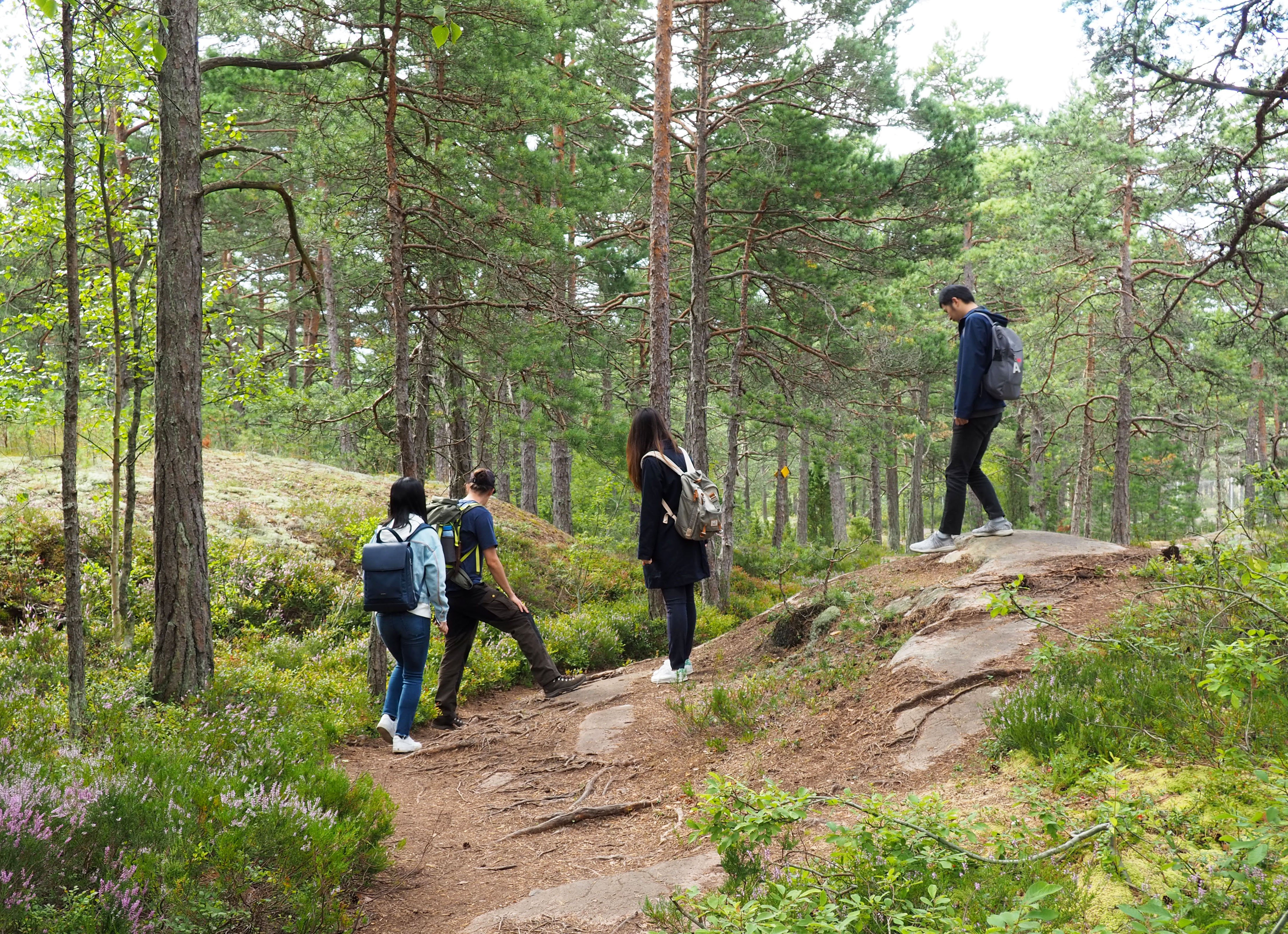 From Helsinki: Archipelago Excursion in Porkkalaniemi
