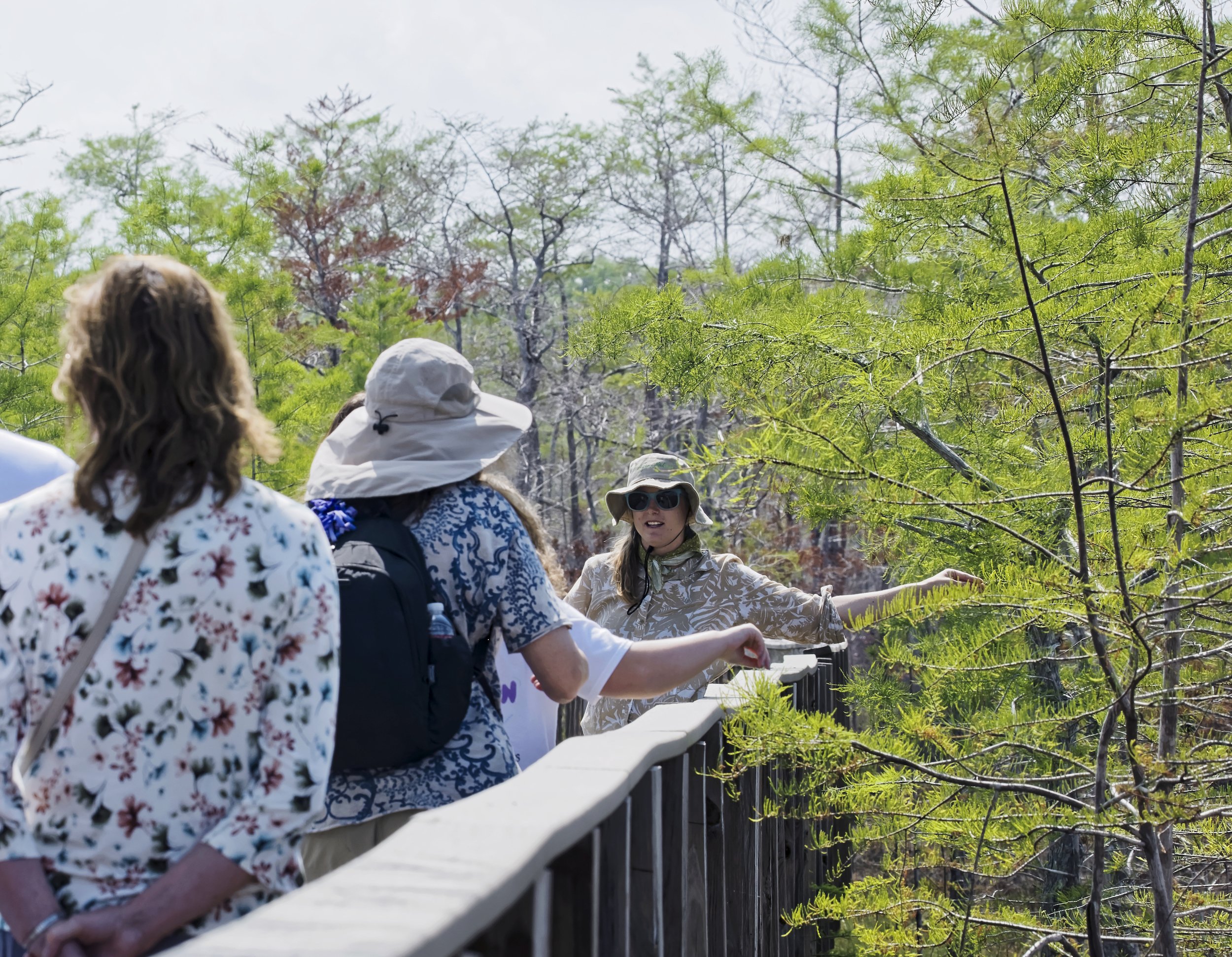 Everglades Day Safari from Fort Lauderdale