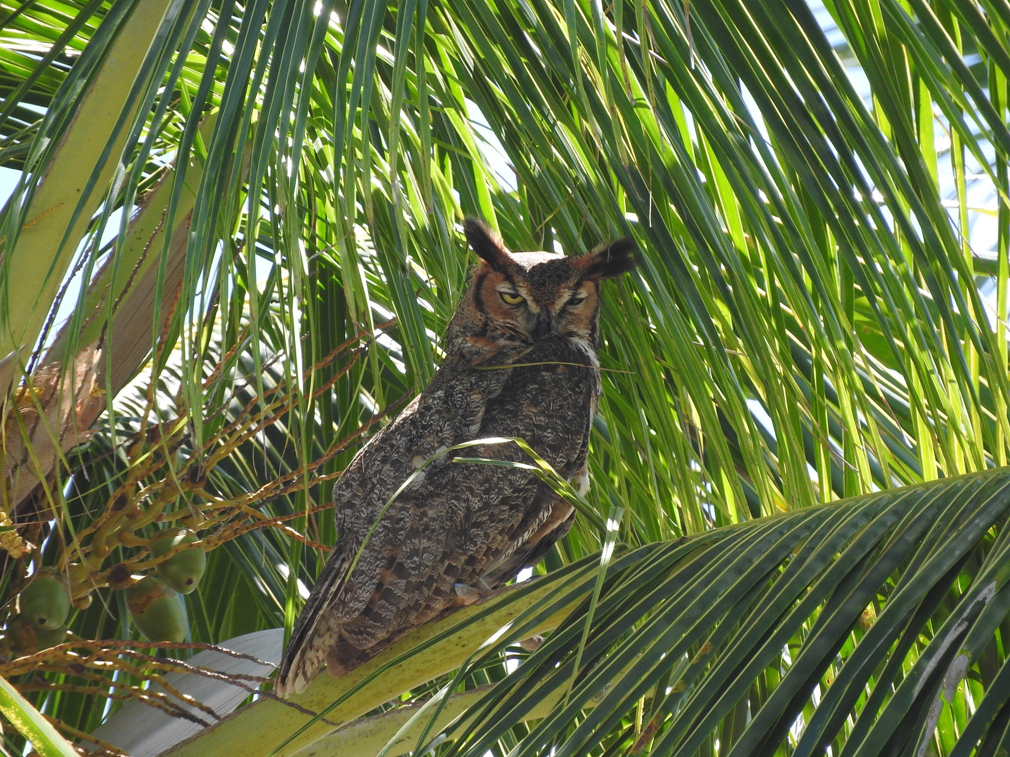 Everglades Day Safari from Fort Lauderdale