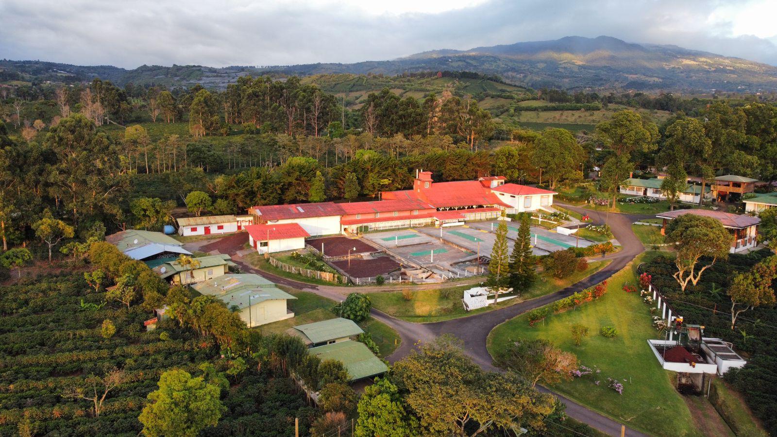 Alajuela Coffee Plantation Tour & Tasting at Doka Estate