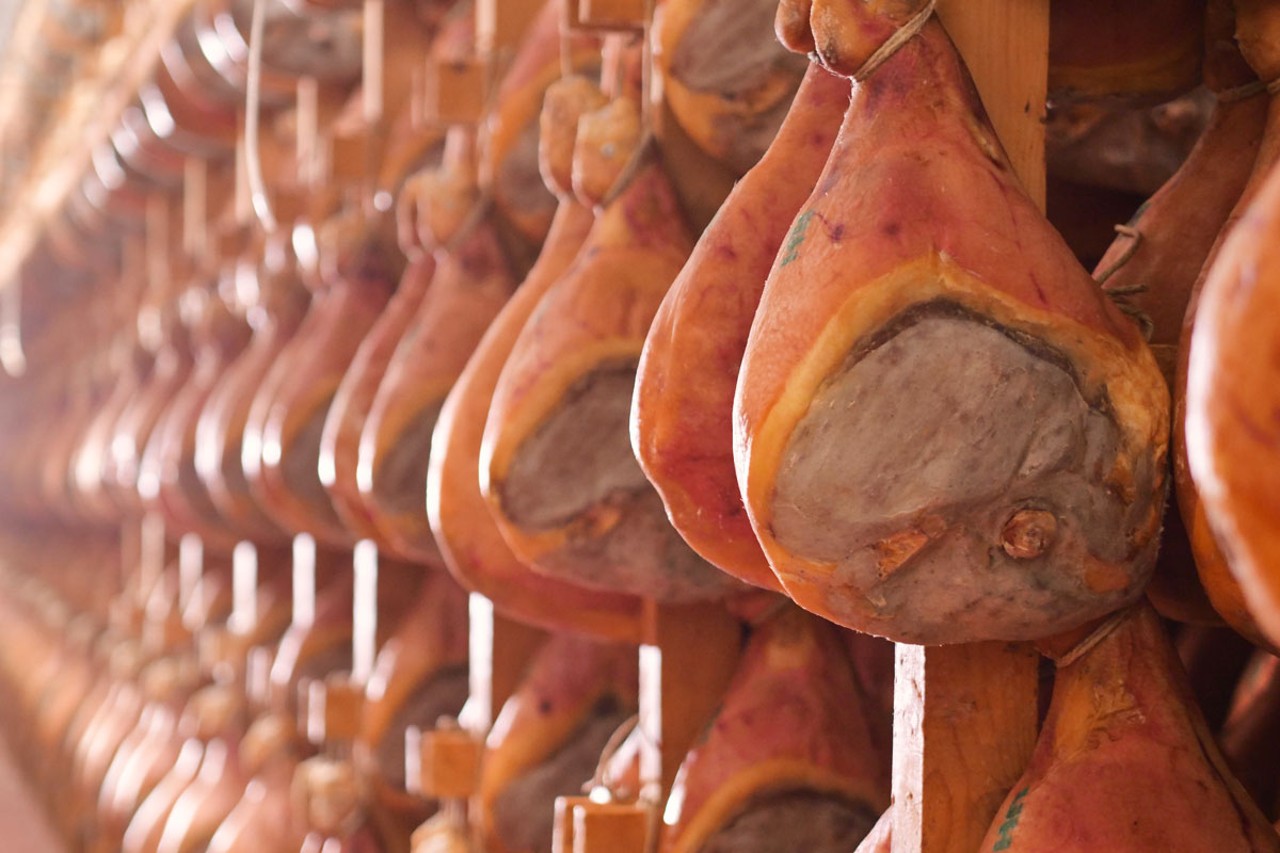cheese tasting in Bologna — photo 5