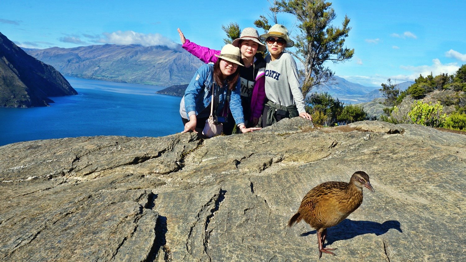 Mou Waho Island Cruise & Eco-Walk