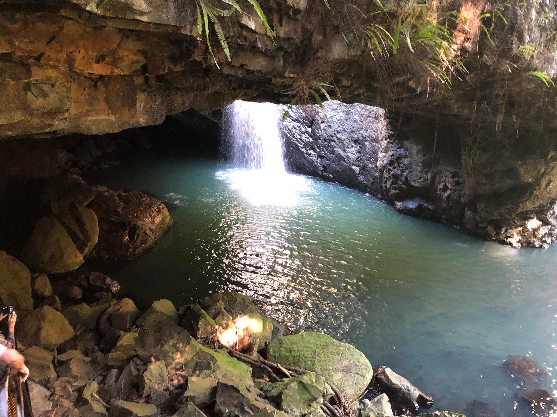 Springbrook & Mt Tamborine Glow Worm Cave and Rainforest Skywalk