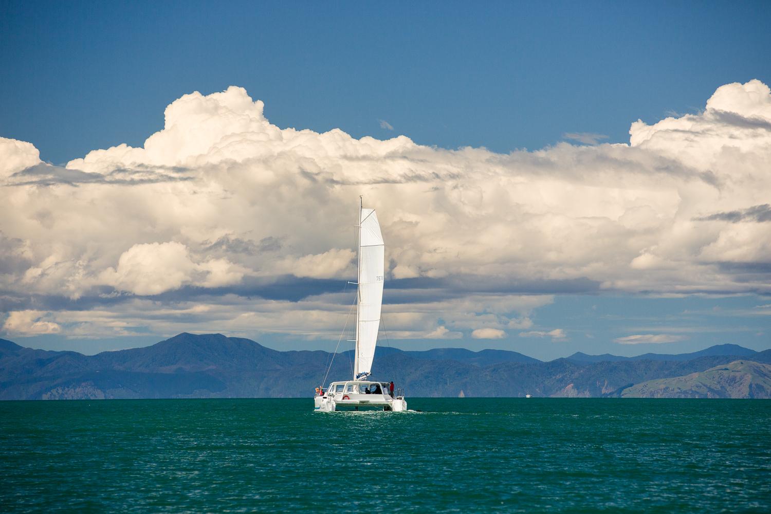 Abel Tasman National Park: Day Sailing Adventure with Lunch