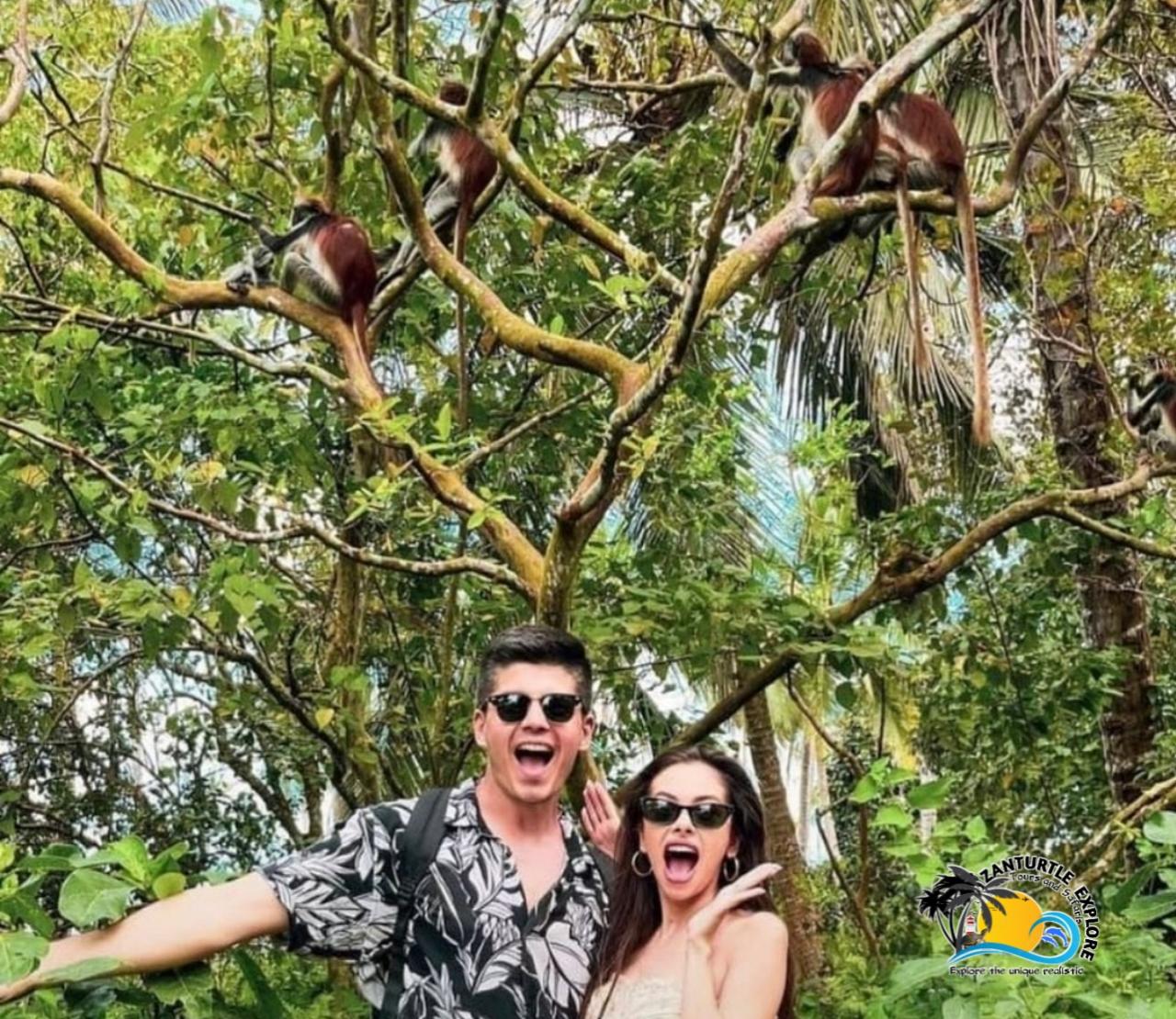Zanzibar: Jozani Forest, Salaam Cave & The Rock Restaurant Day Tour