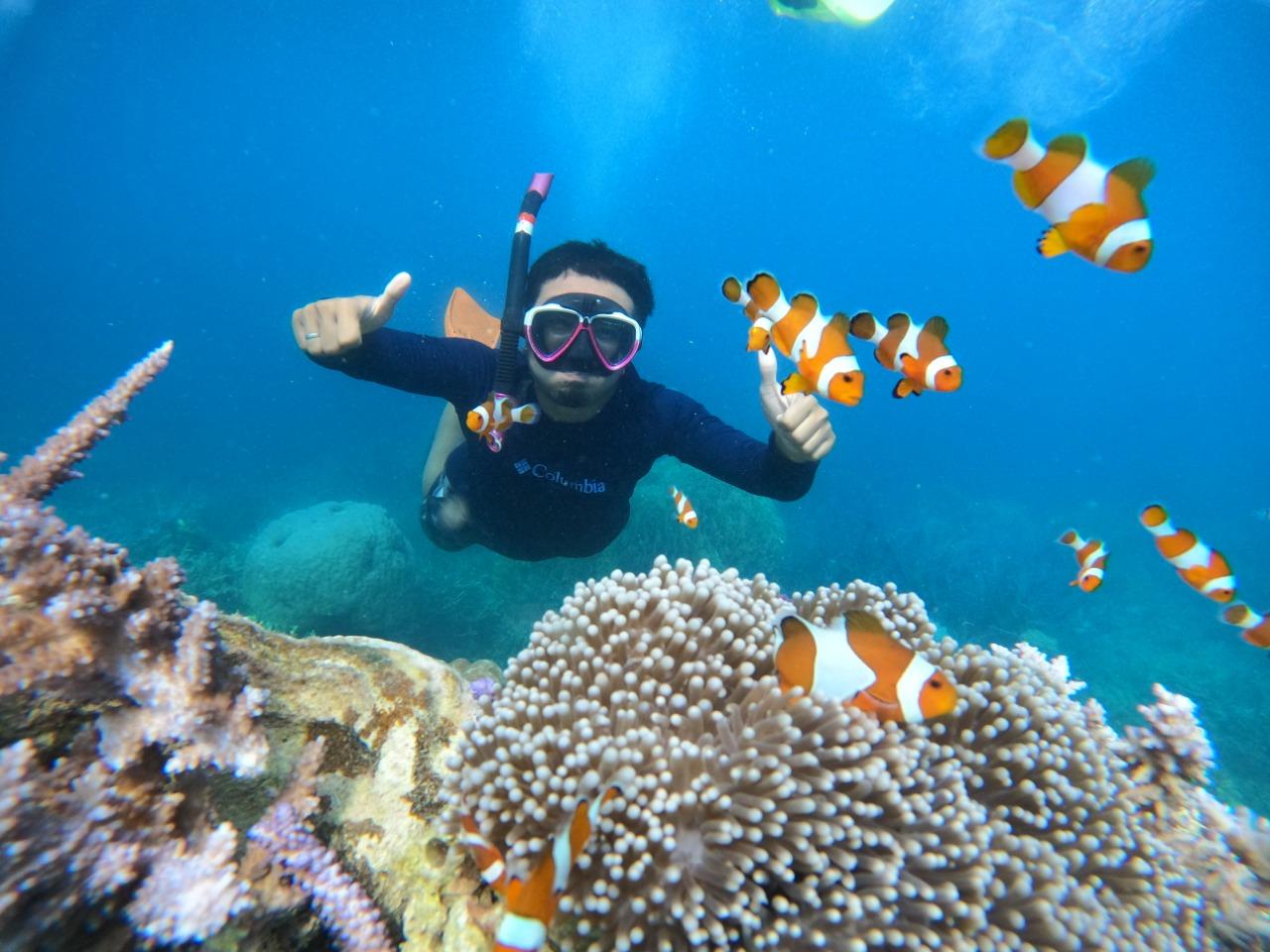 Karimunjawa Archipelago 3-Day Snorkeling Adventure