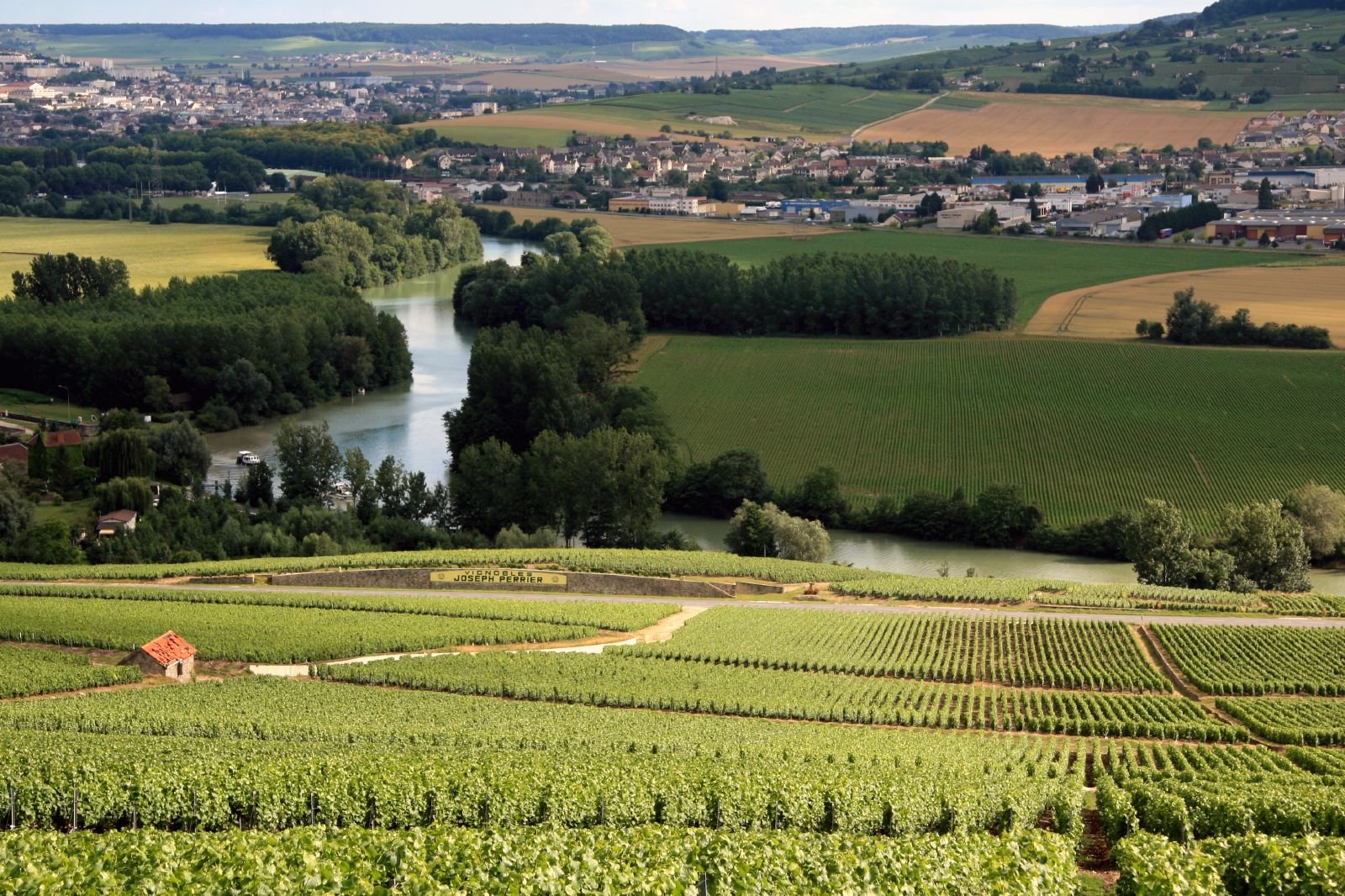From Paris: Private Champagne Tour, Tastings at Moet&Chandon
