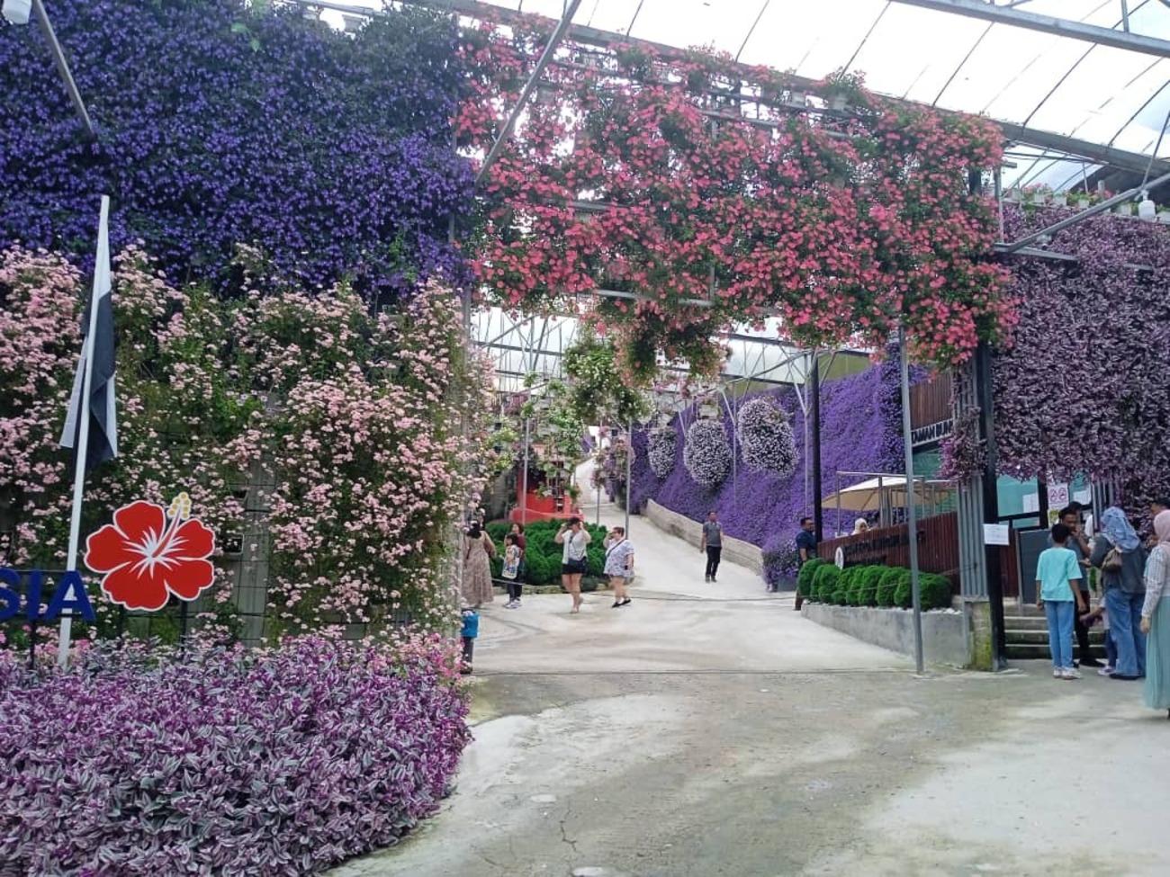 Cameron Highlands Day Trip from Kuala Lumpur