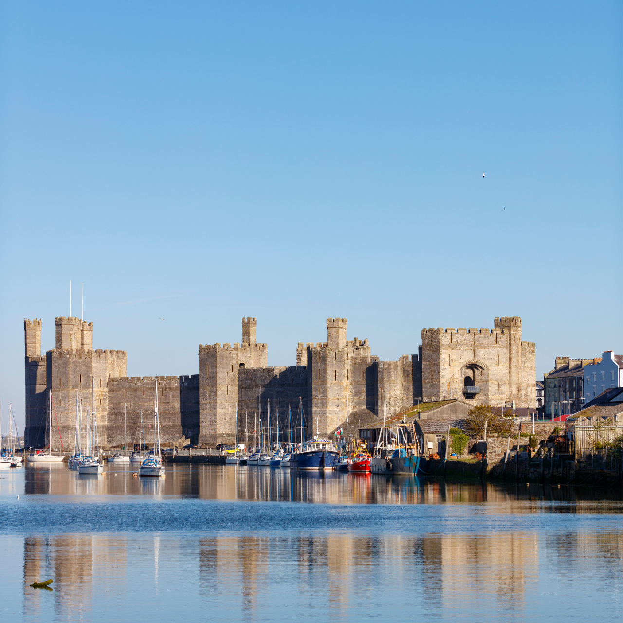 From Chester: North Wales and Caernarfon Castle Tour - 2026 (Verified Reviews)