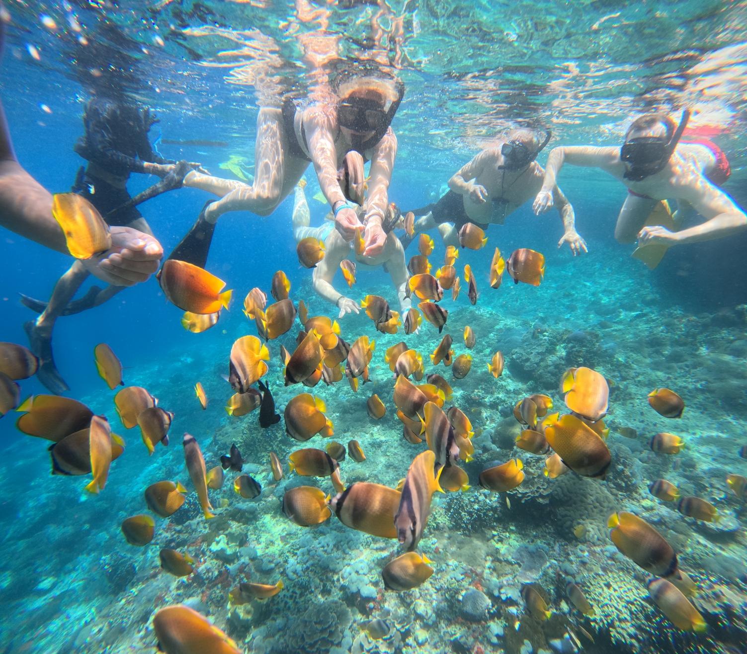 Blue Lagoon Snorkeling Adventure with Private Transport