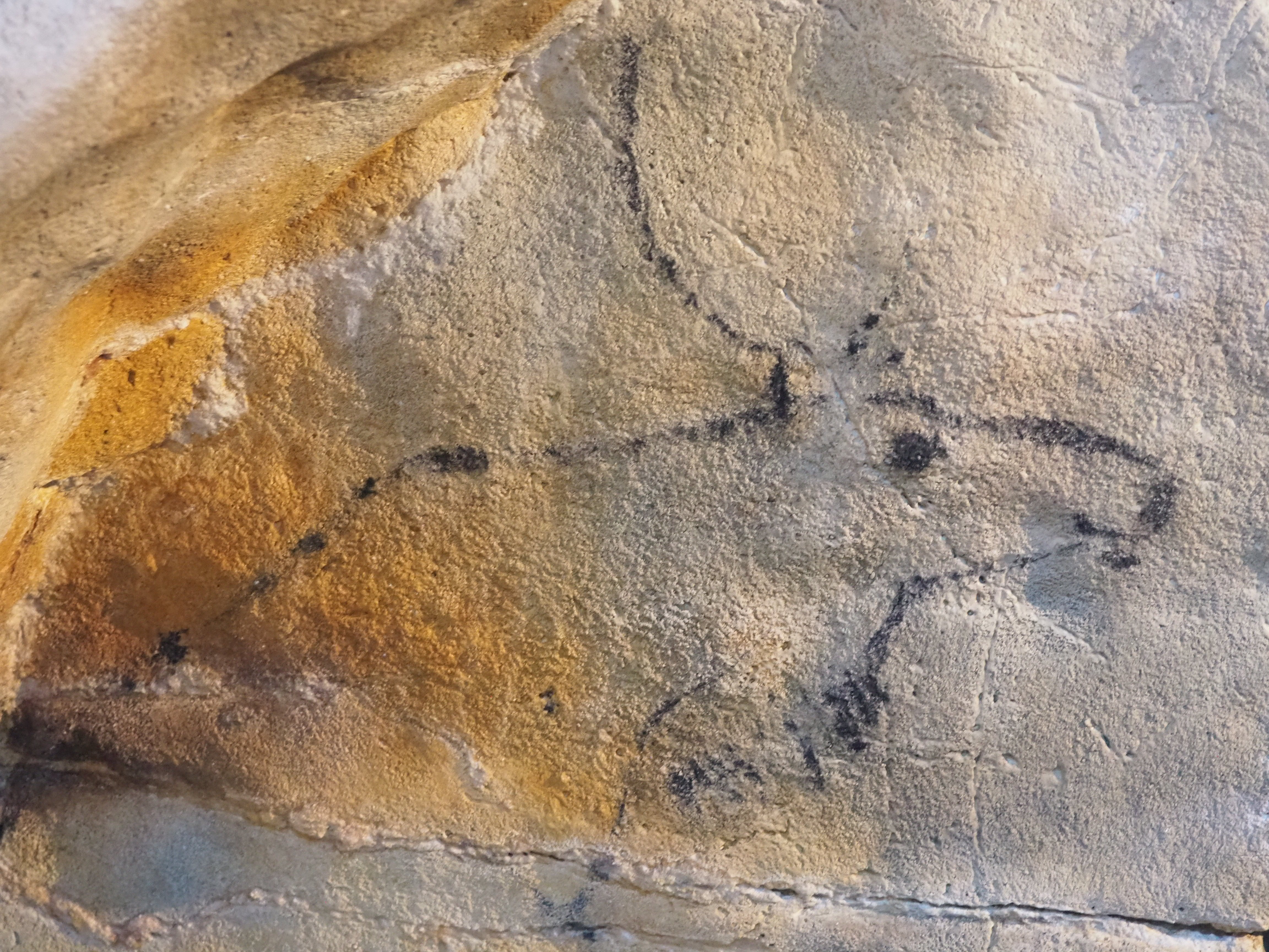 El Castillo Caves & Paleolithic Art Tour