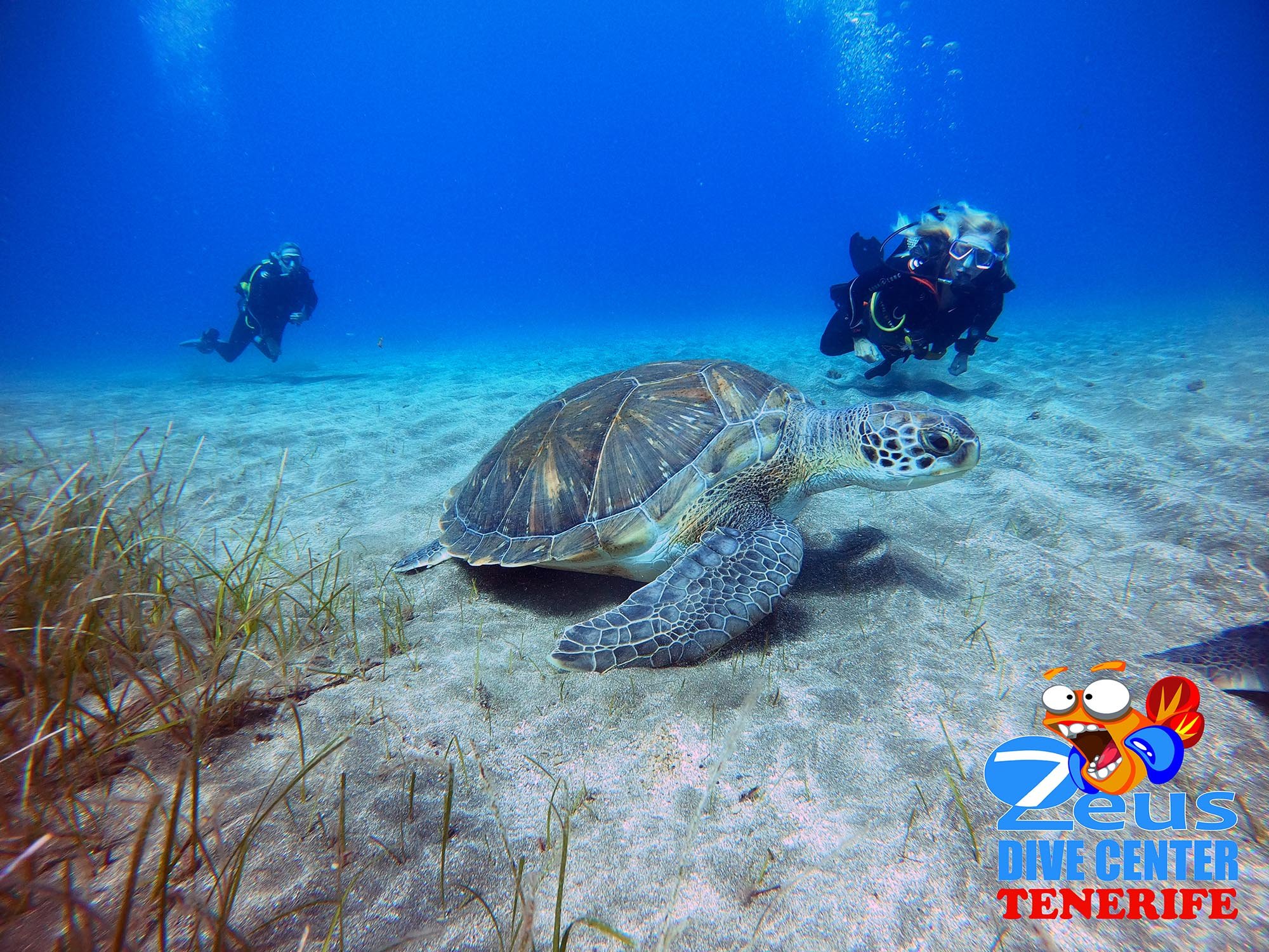 Abades Beach Beginner Scuba Diving Experience