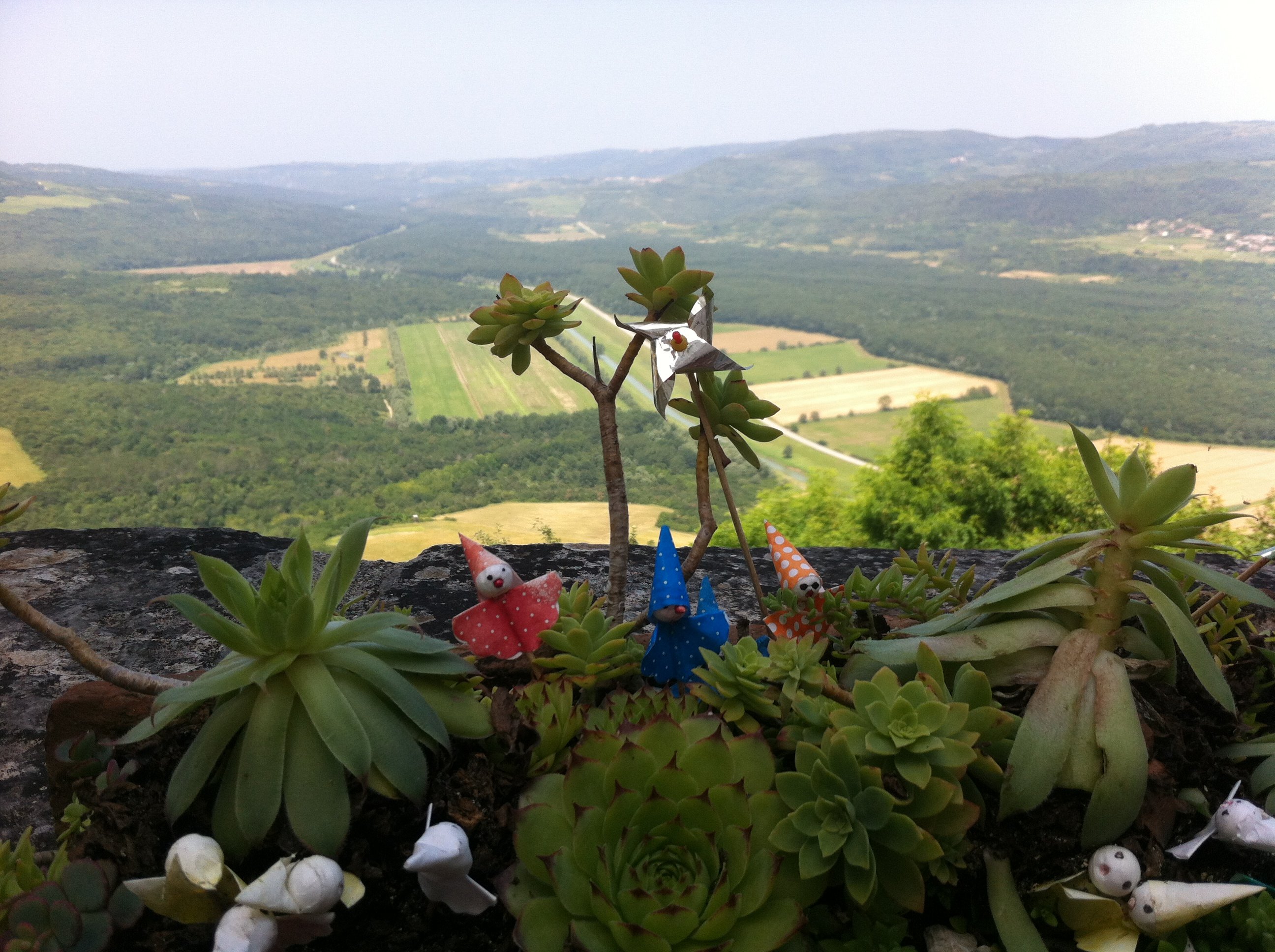 Inner Istria Discovery with Hilltop Towns & Truffle Tasting