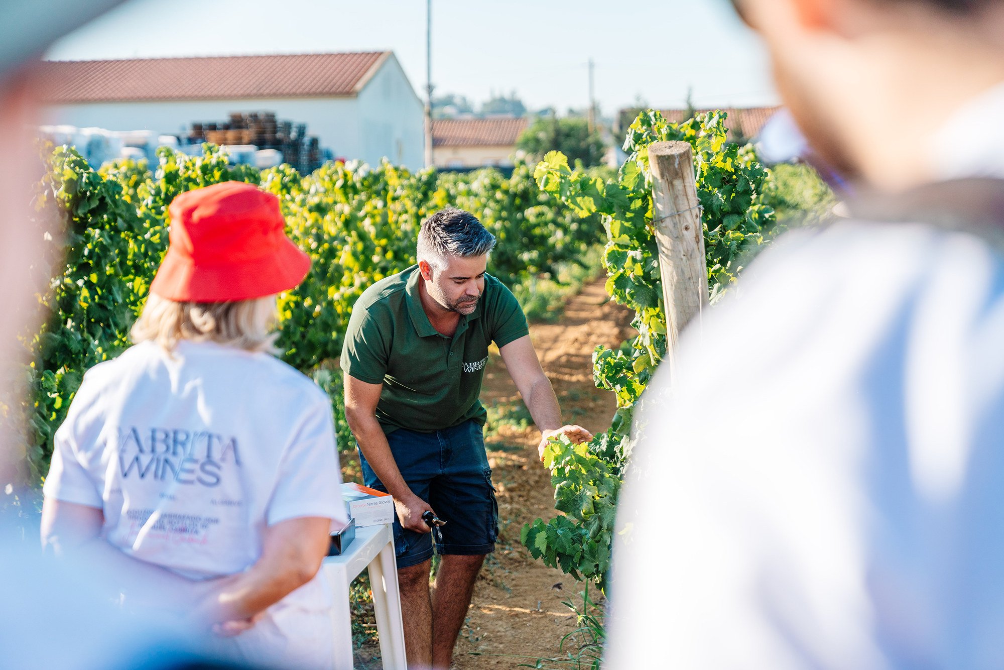 Silves Wine Estate Tour & Tasting