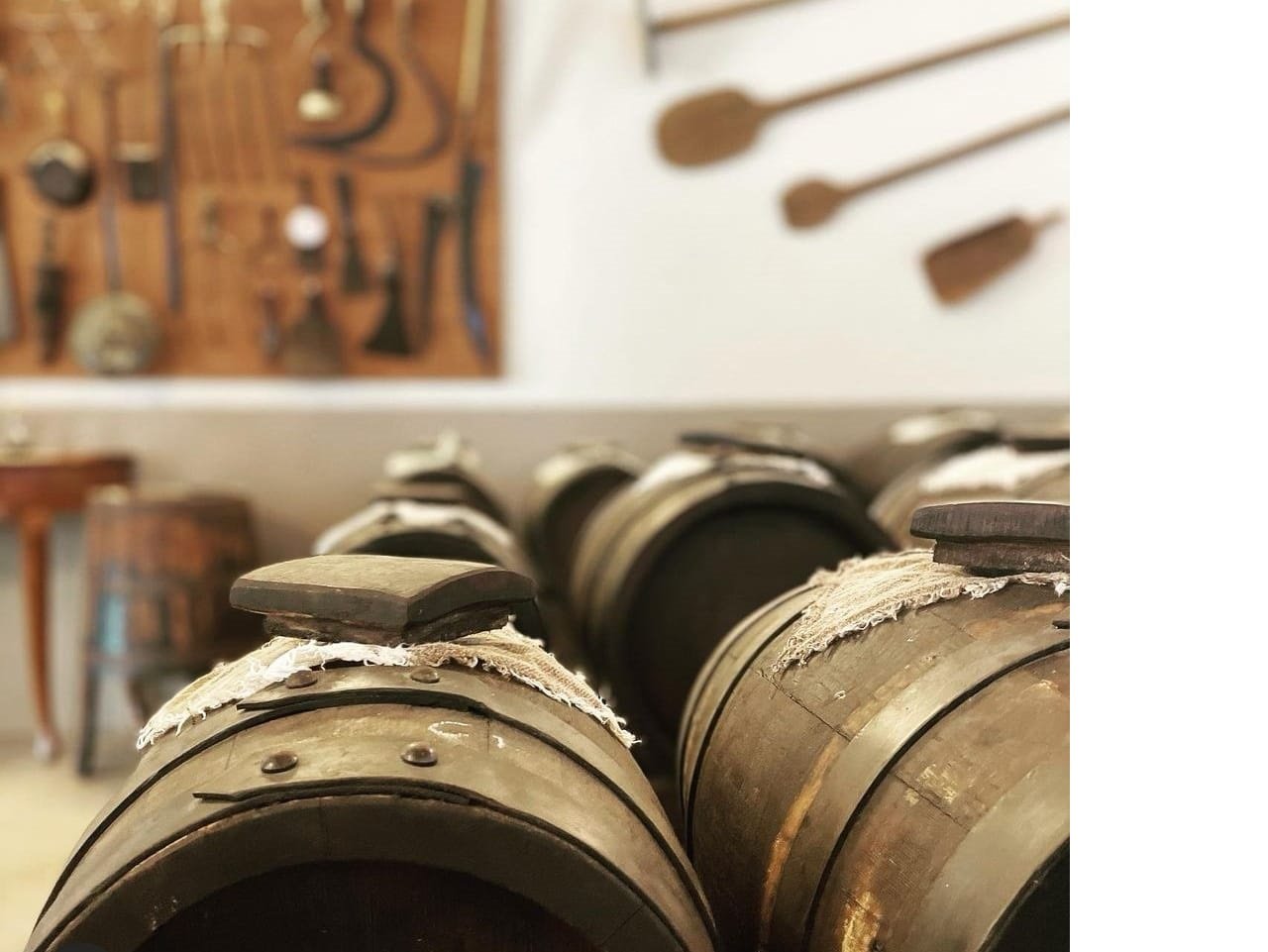 Balsamic Vinegar Experience with Traditional Lunch in Modena