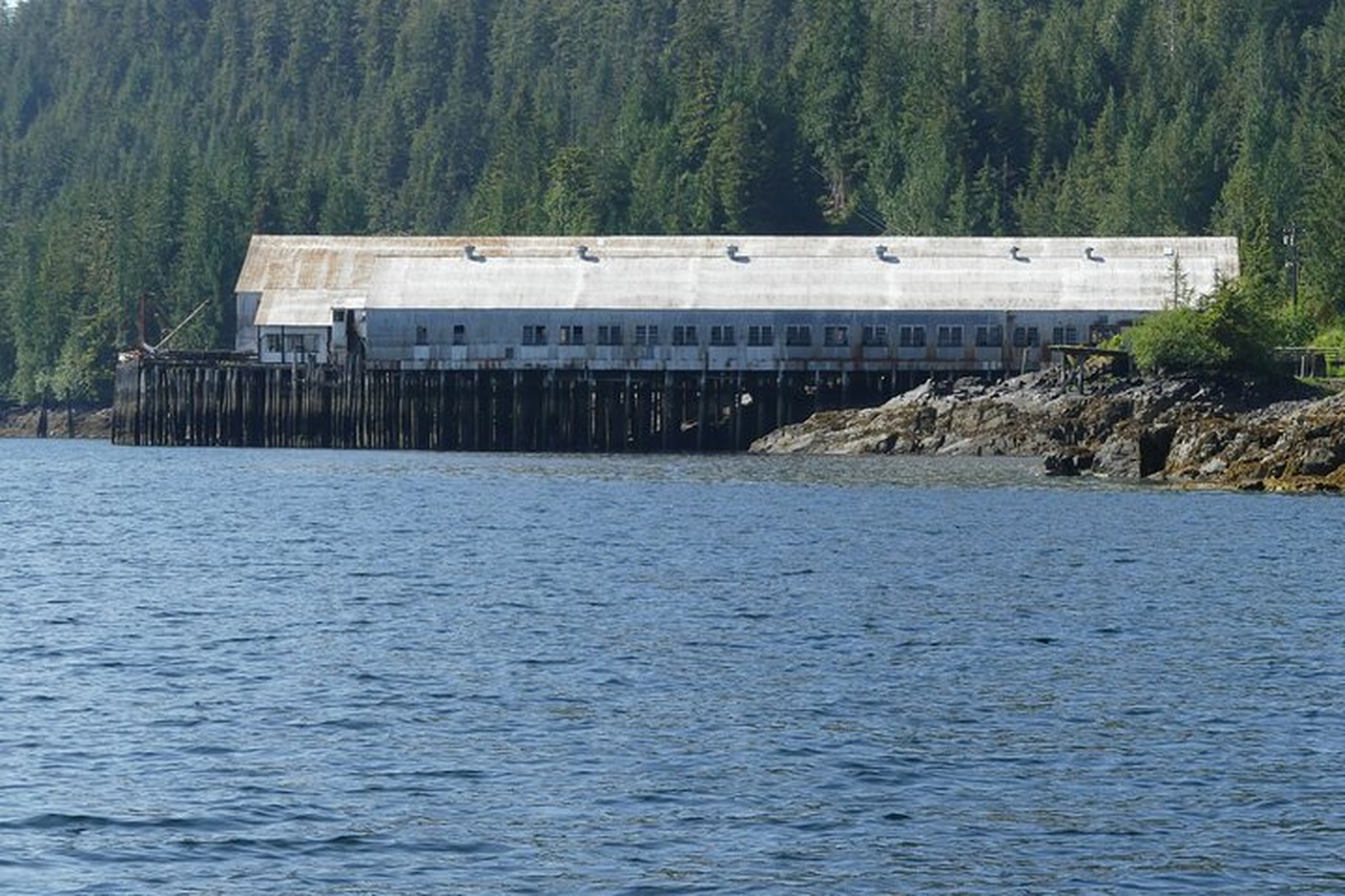 glacier cruise in Ketchikan — photo 9