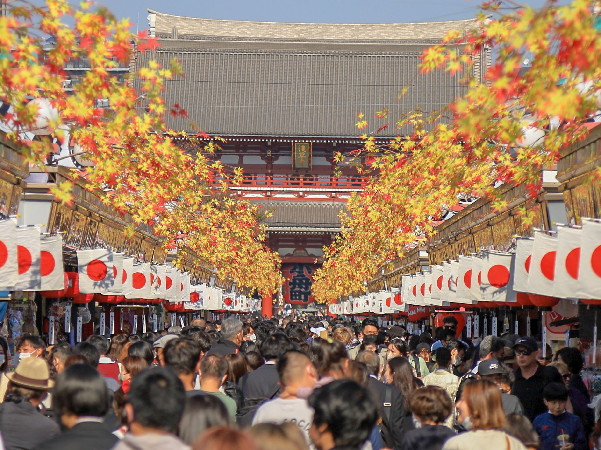 Tokyo Full-Day Highlights Bus Tour with Skytree & Bay Cruise