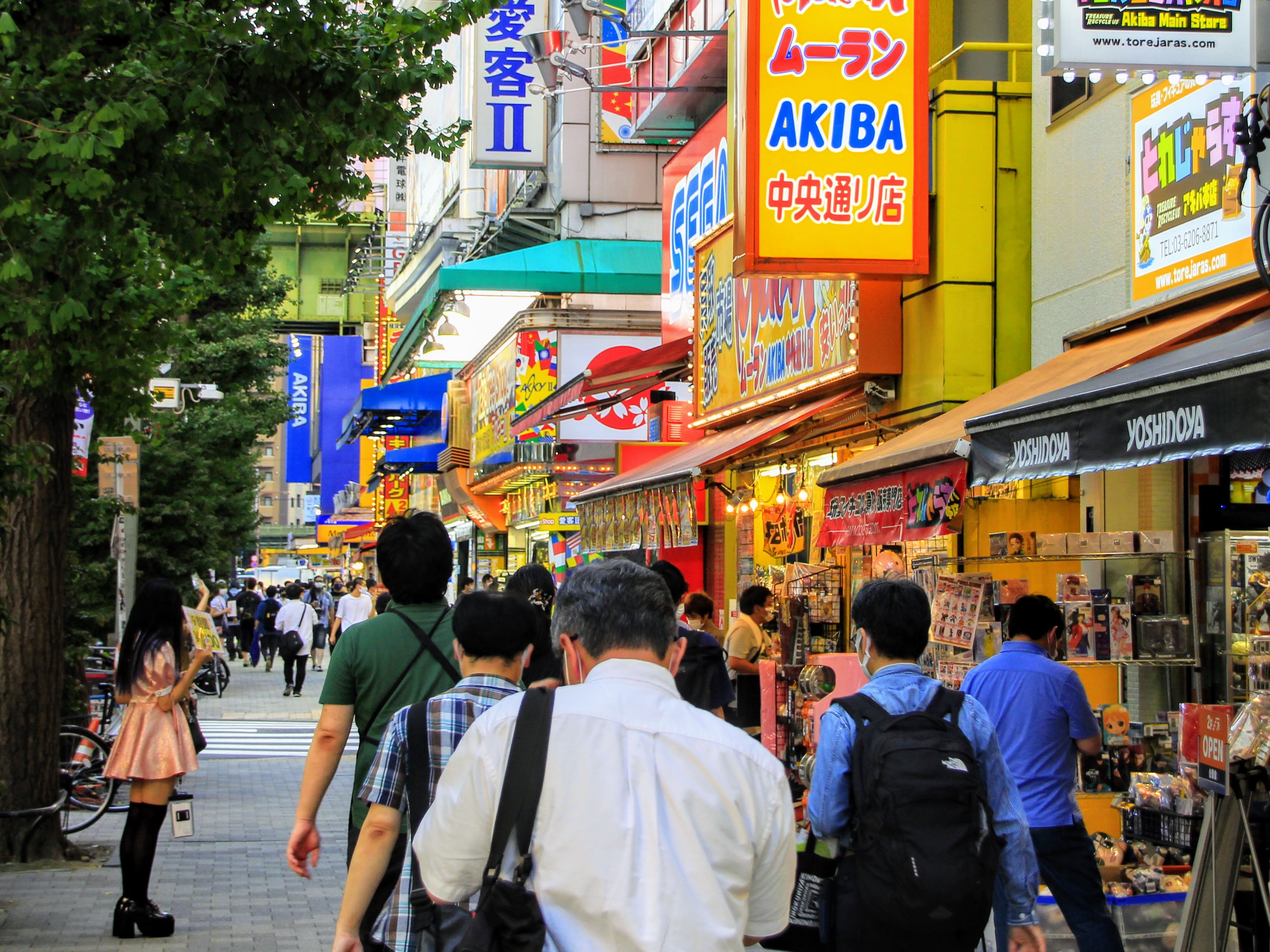 Tokyo Full-Day Highlights Bus Tour with Skytree & Bay Cruise