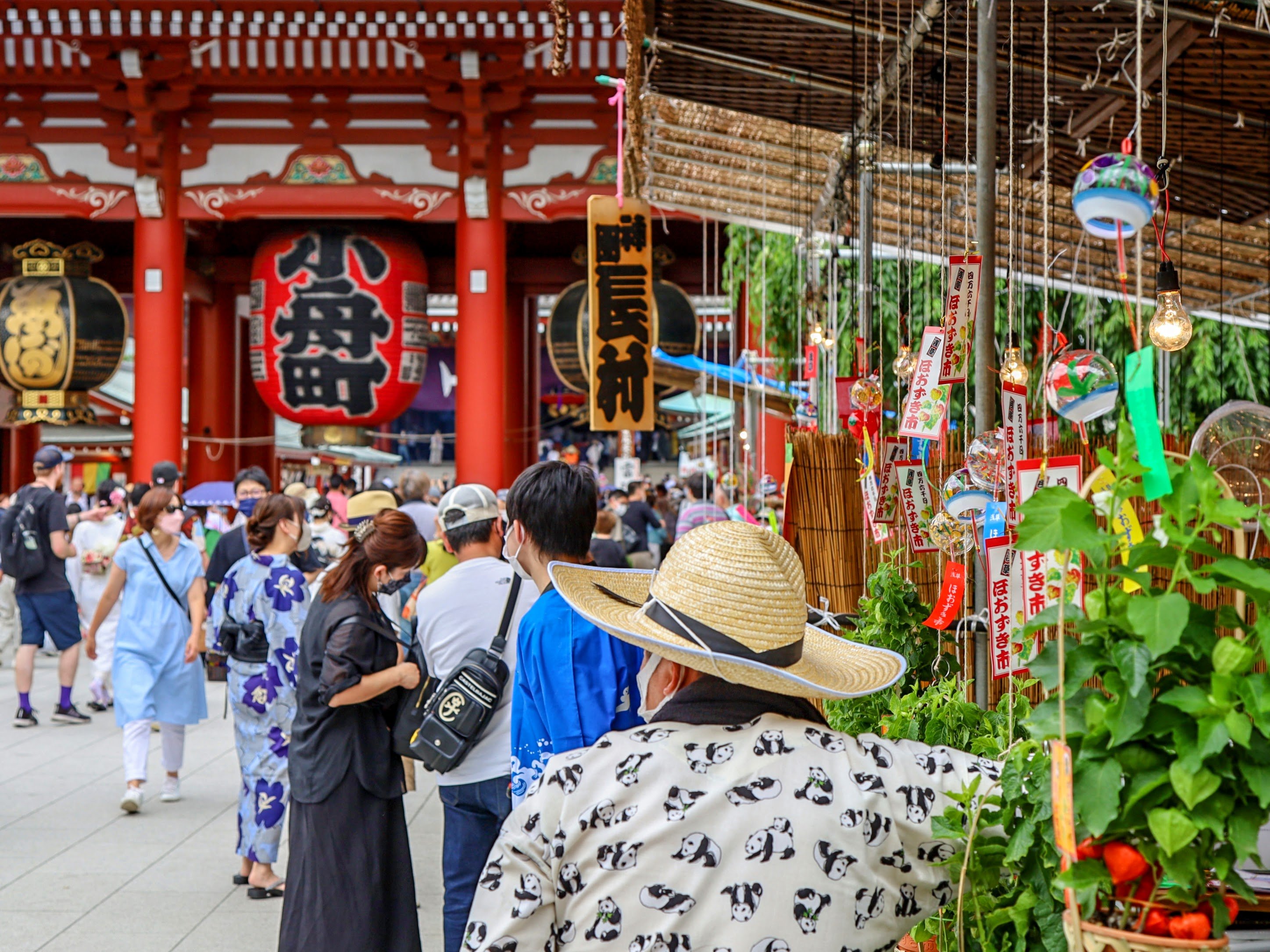 Tokyo Full-Day Highlights Bus Tour with Skytree & Bay Cruise