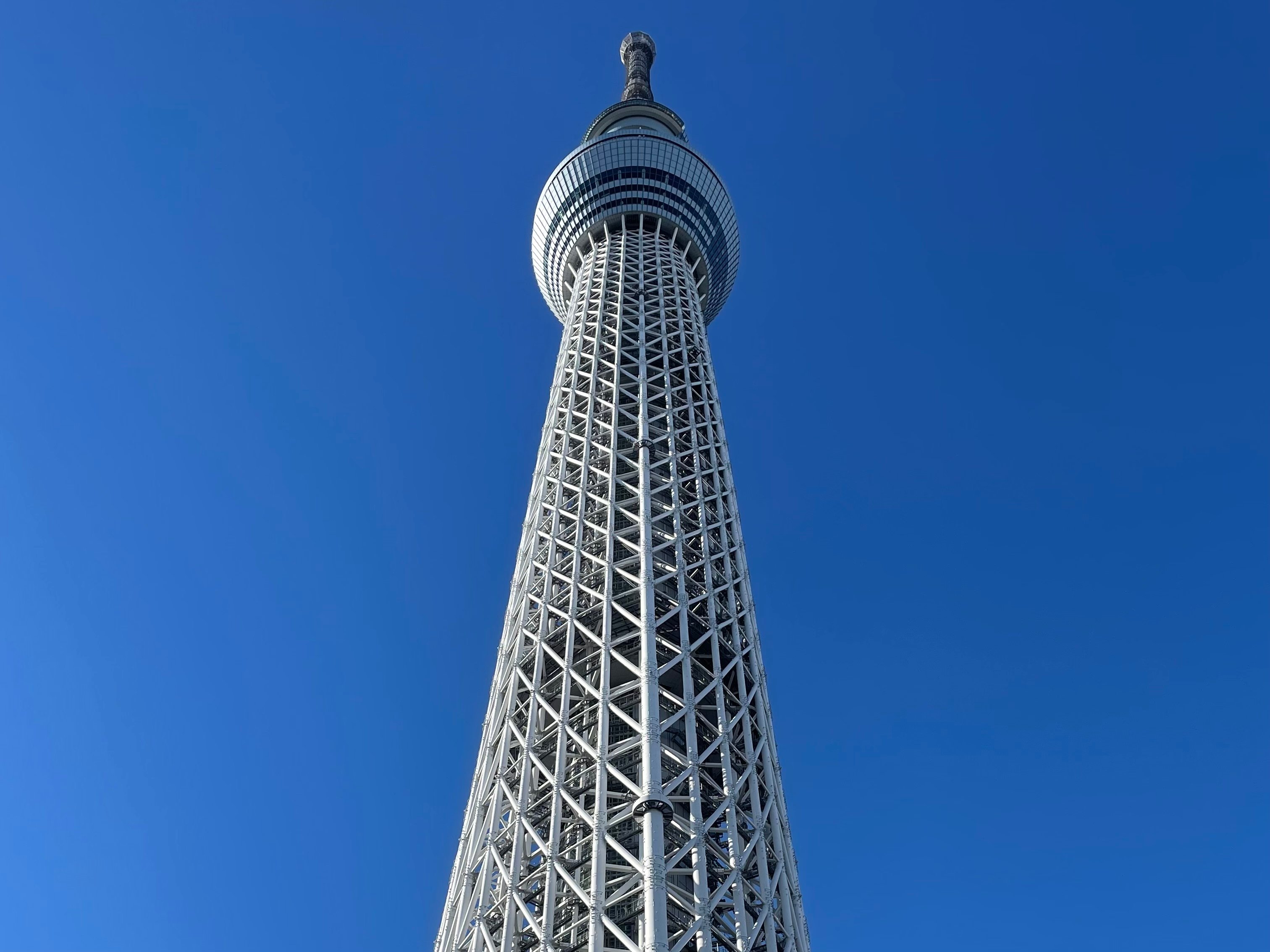 Tokyo Full-Day Highlights Bus Tour with Skytree & Bay Cruise