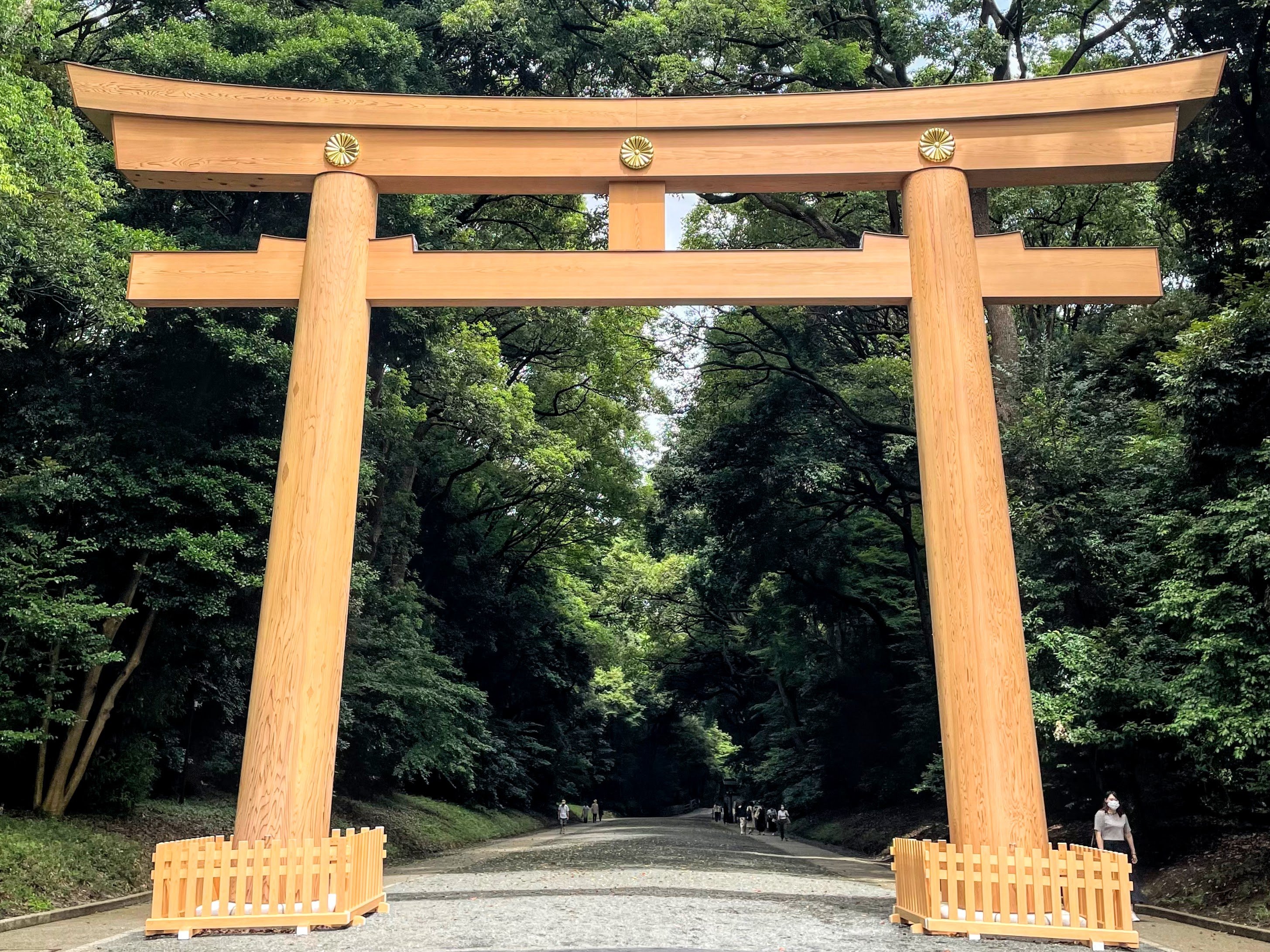 Tokyo Full-Day Highlights Bus Tour with Skytree & Bay Cruise