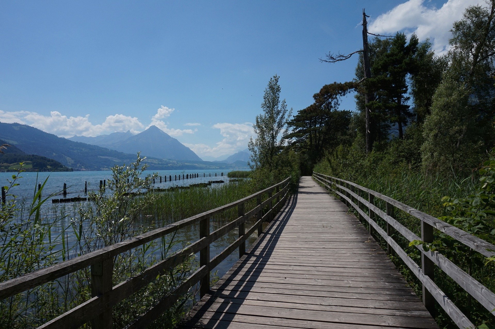 Geneva to Interlaken & Harder Kulm Alpine Day Trip