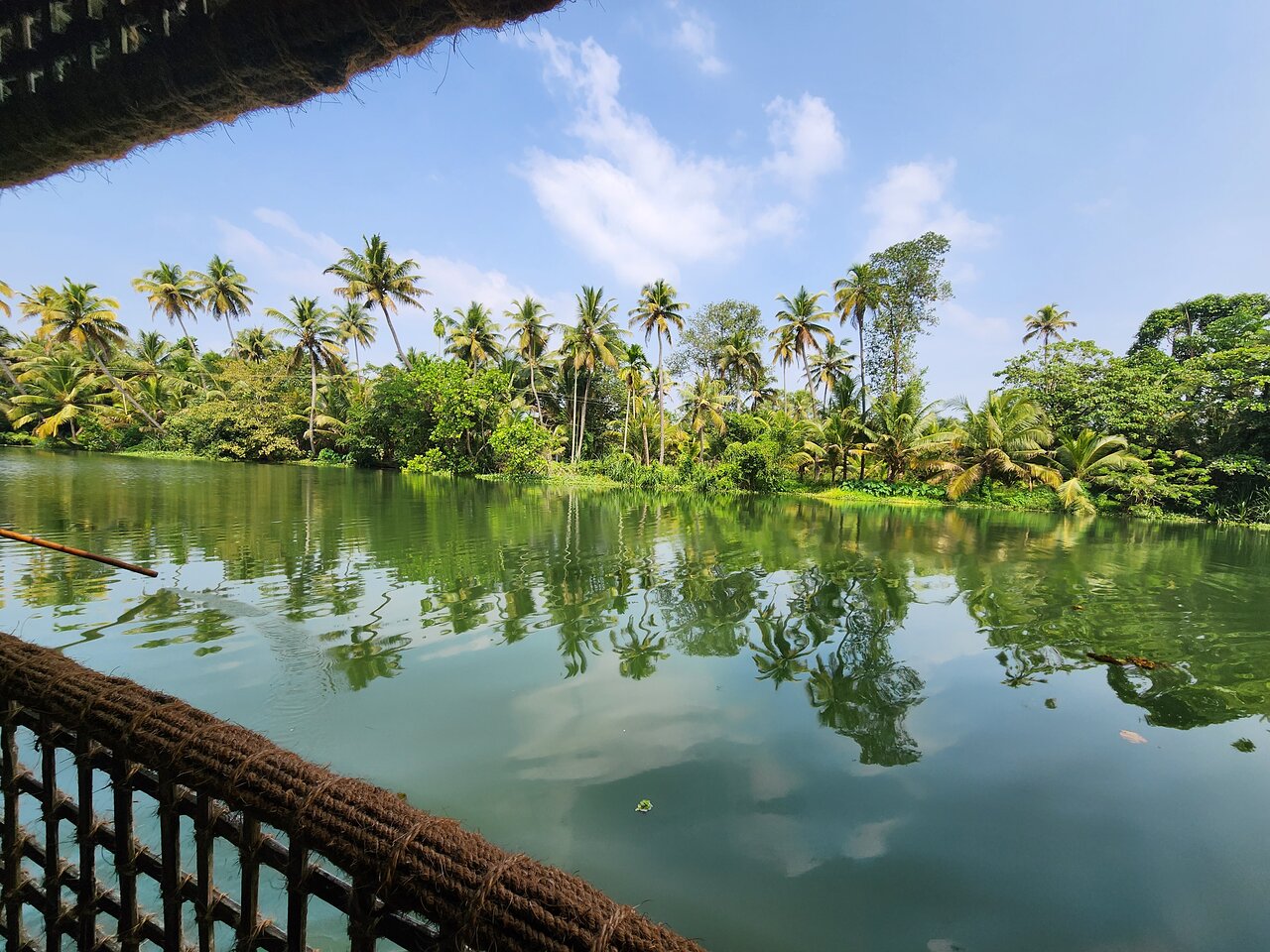 Cochin Backwater Village Eco-Boat Tour