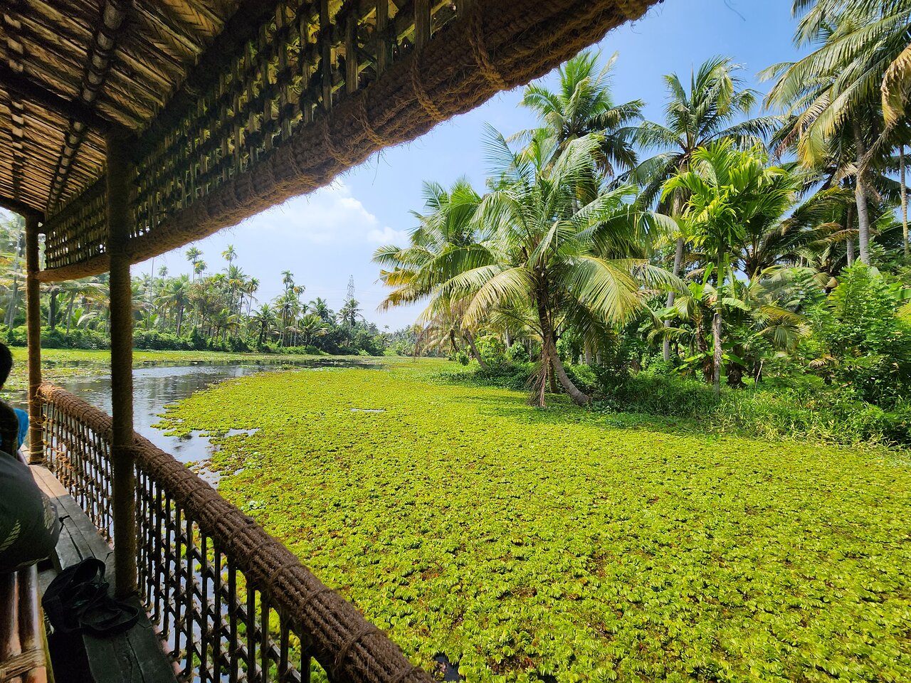 Cochin Backwater Village Eco-Boat Tour