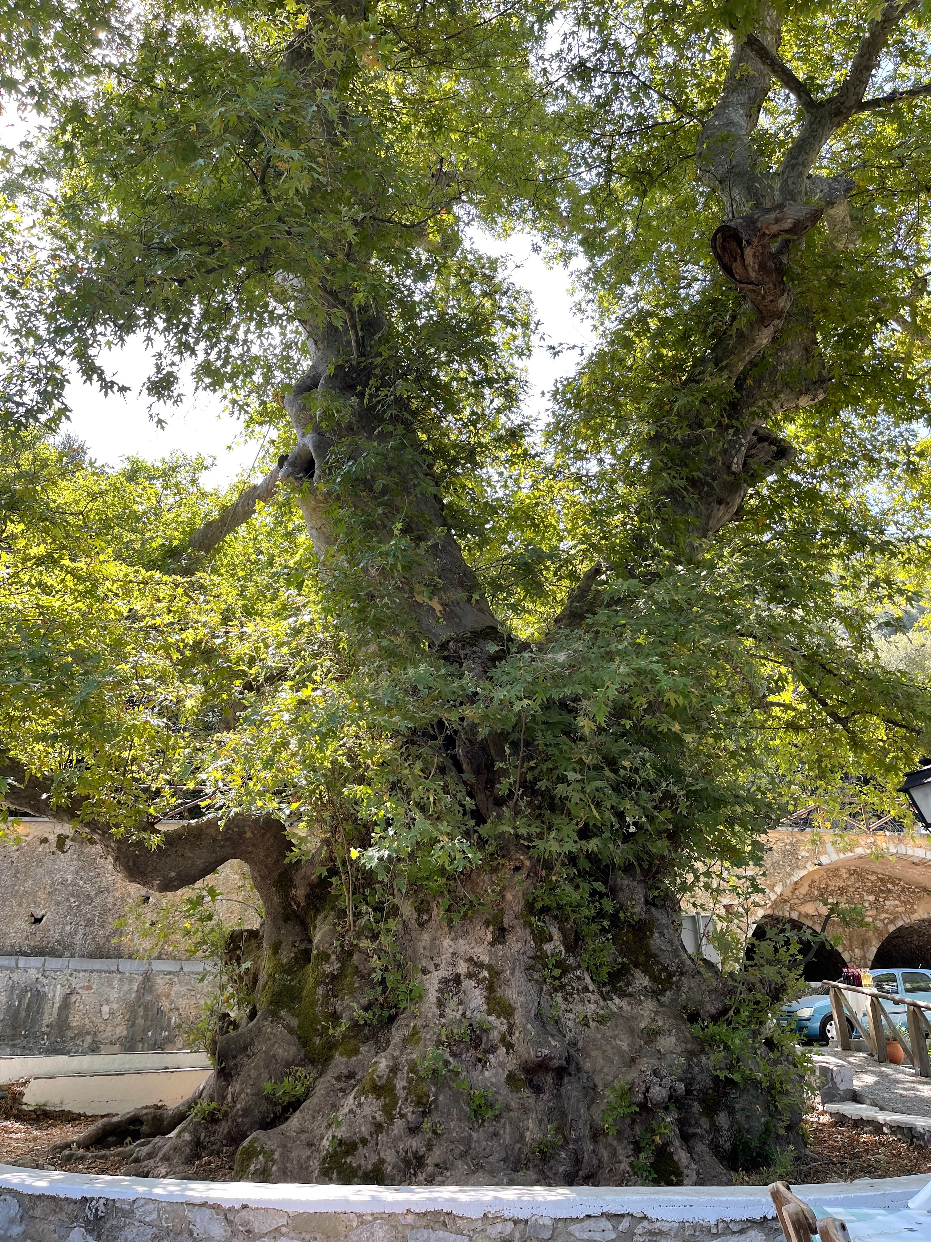 Heraklion: Knossos Zeus Cave Villages Olive Oil Factory Tour - 2026 (Verified Reviews)