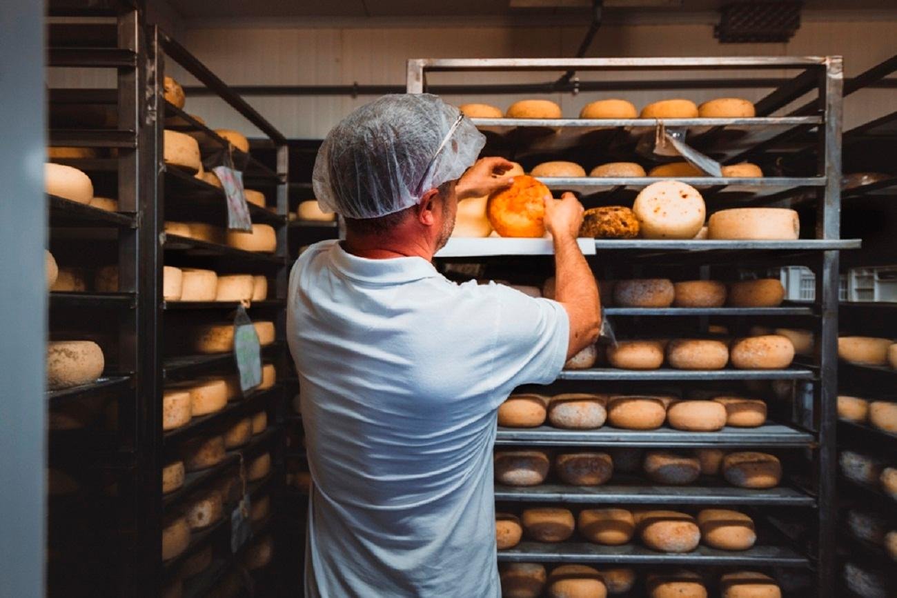 Pecorino Cheese Tasting at a Val d'Orcia Dairy Farm