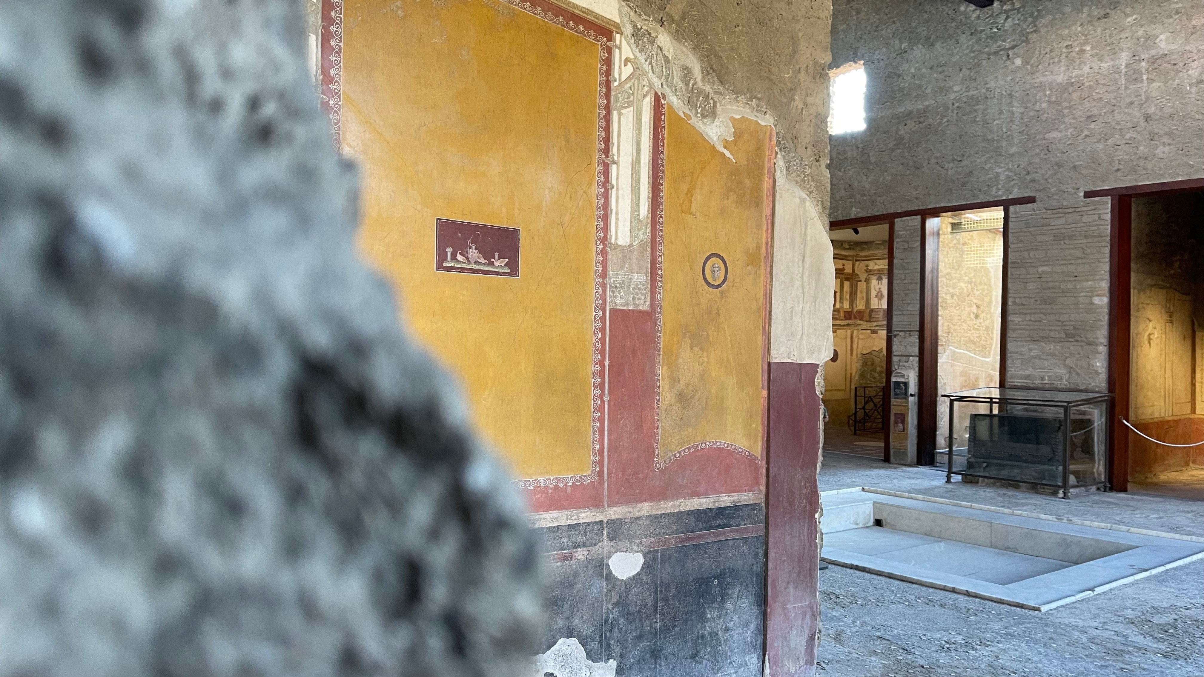 Pompeii Discovery Tour from Naples with Skip-the-Line Access
