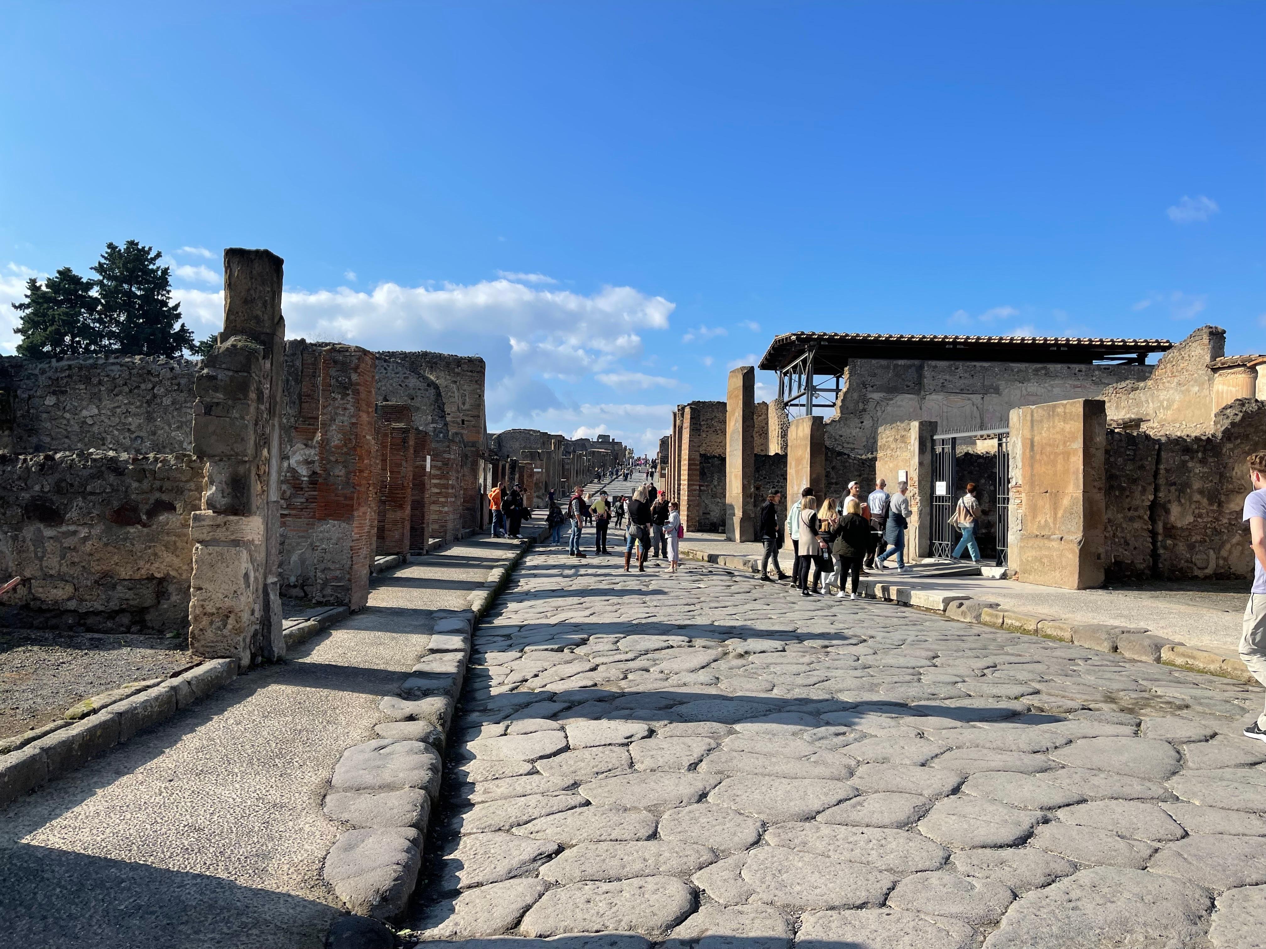 Pompeii Discovery Tour from Naples with Skip-the-Line Access