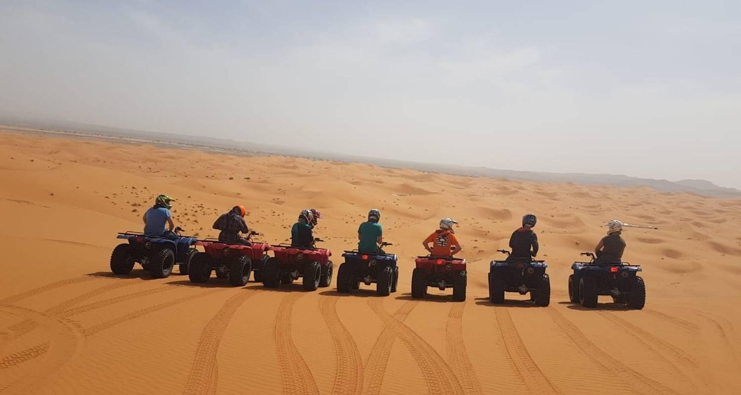 Doha Desert Adventure: Dune Bashing, Camel Rides & Sandboarding