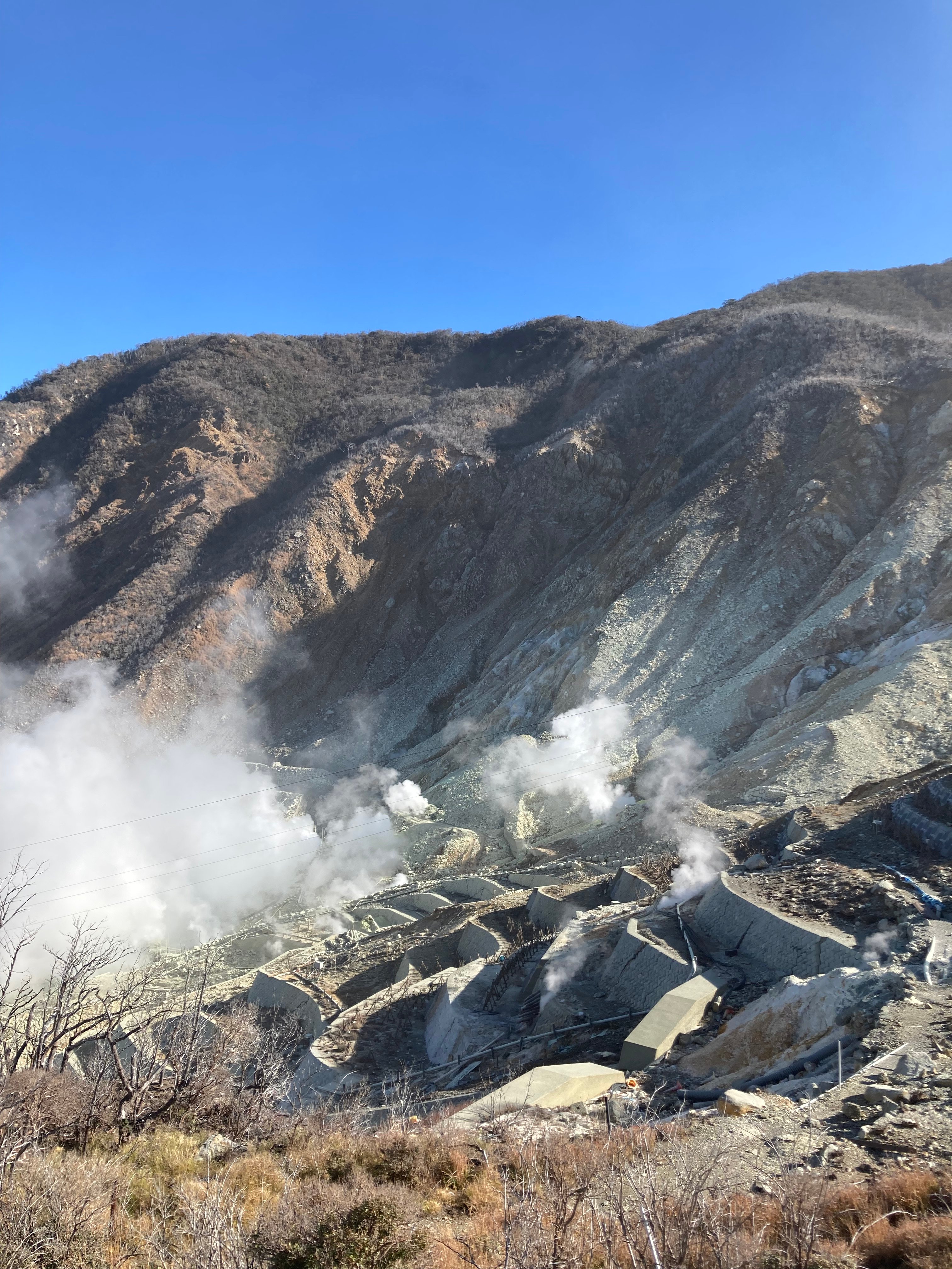 Mt. Fuji & Hakone Day Tour from Tokyo with Bullet Train Return