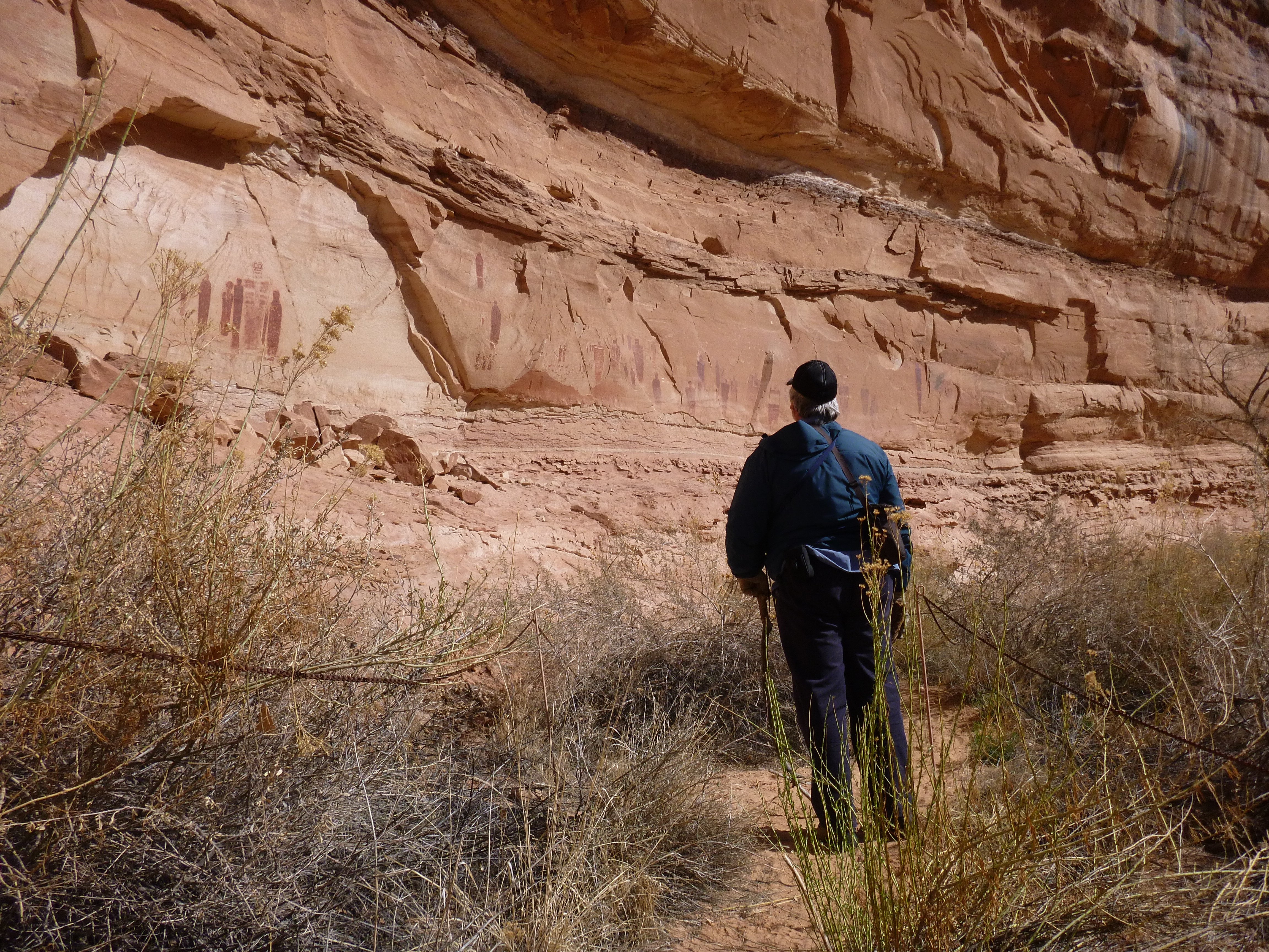 Horseshoe Canyon Rock Art Adventure from Moab
