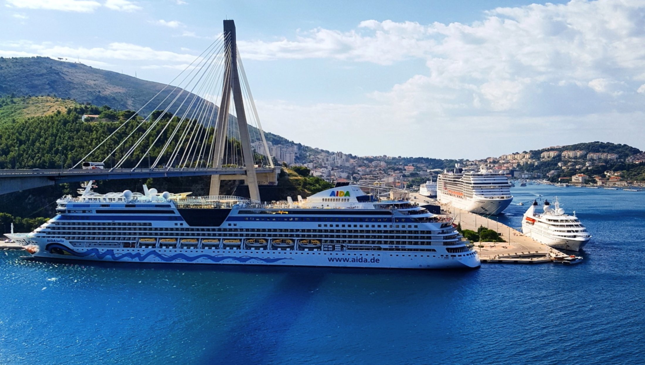 Dubrovnik Panoramic & Old Town Walking Tour