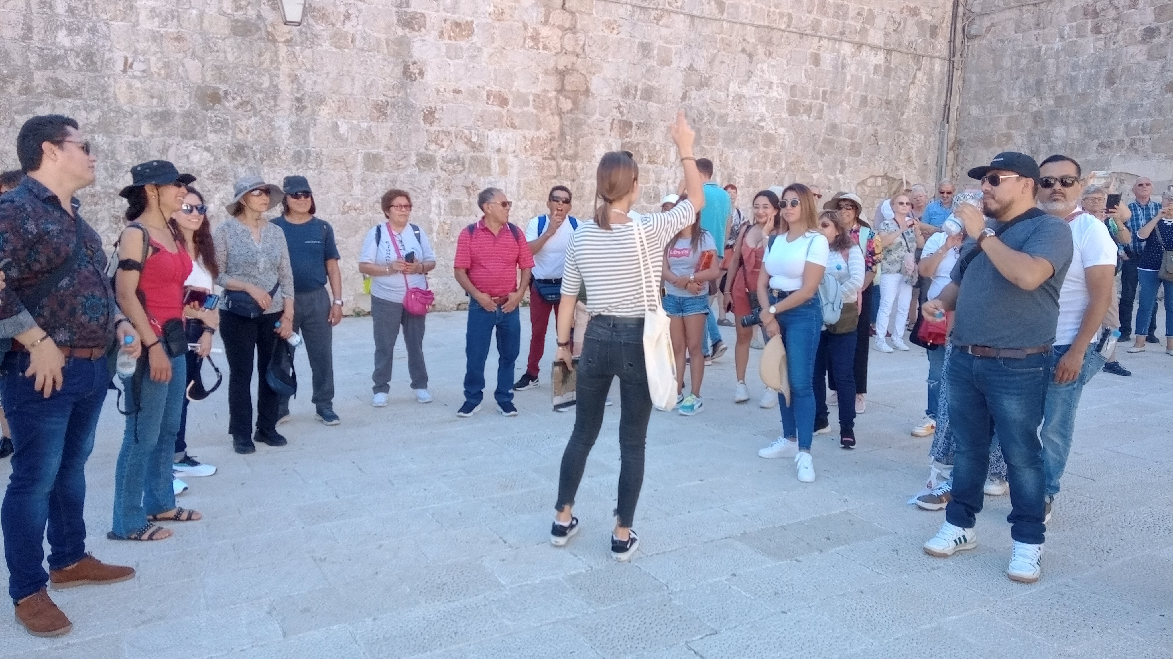 Dubrovnik Panoramic & Old Town Walking Tour