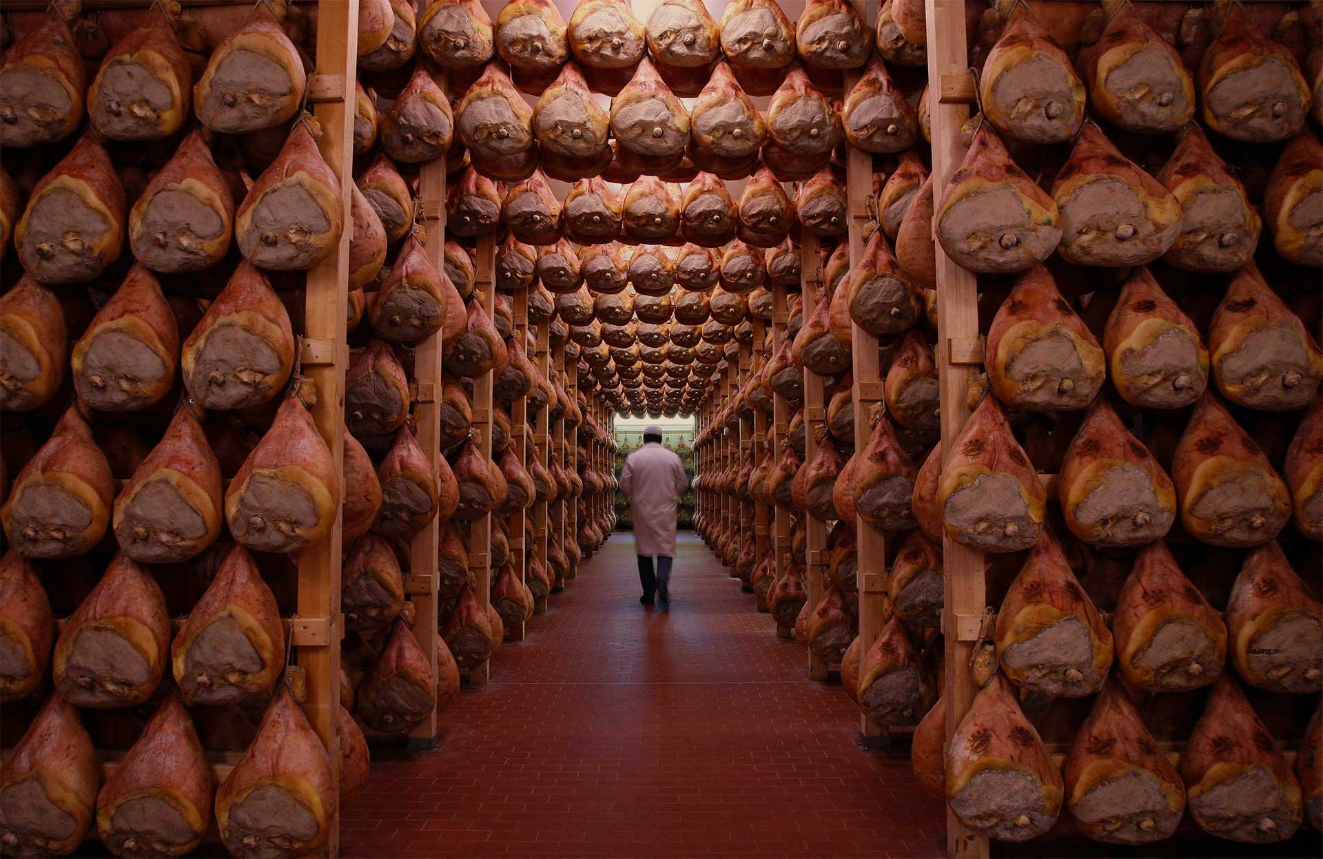 cheese tasting in Modena — photo 4