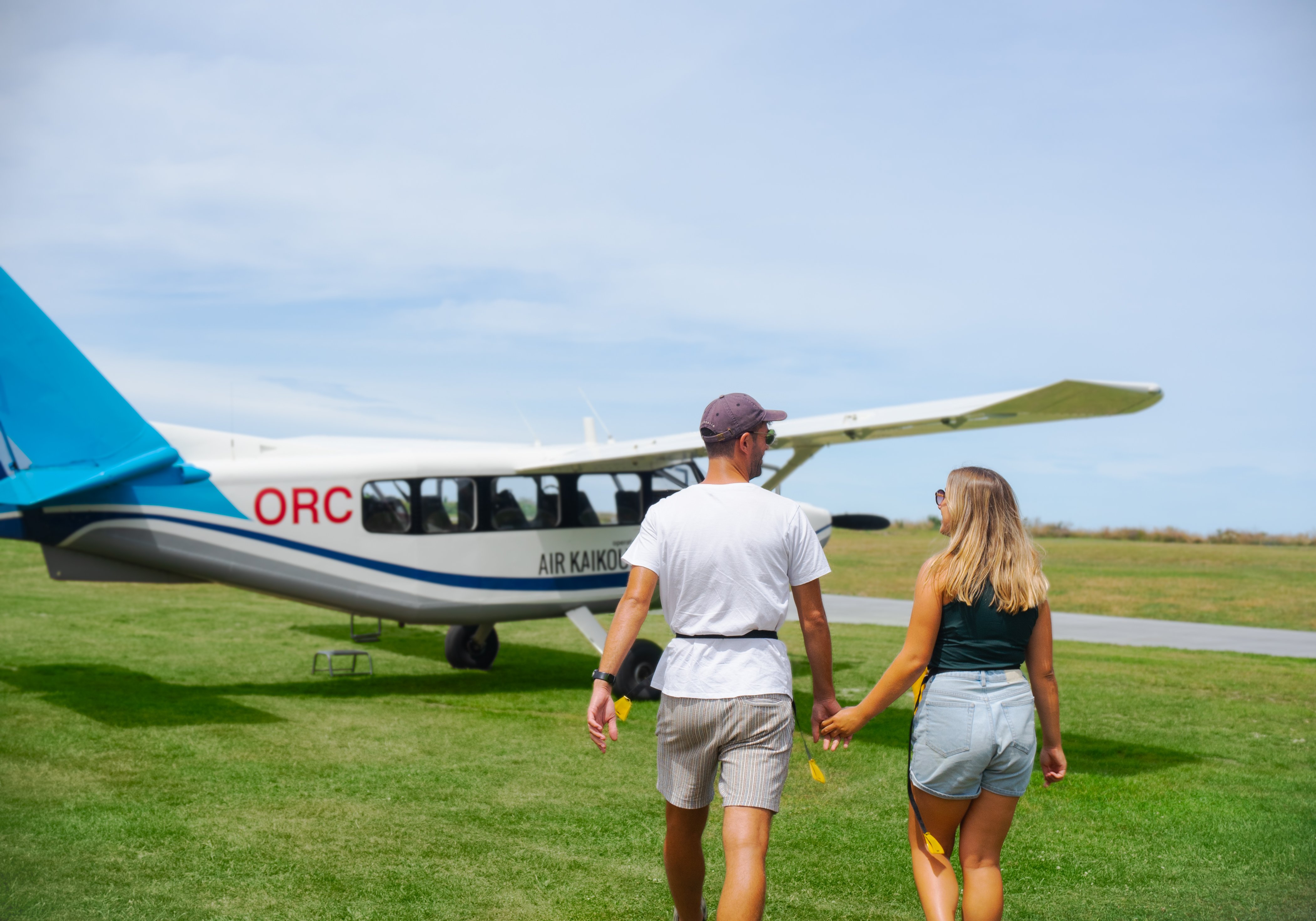 Kaikoura: Whale Watching Flight with Commentary