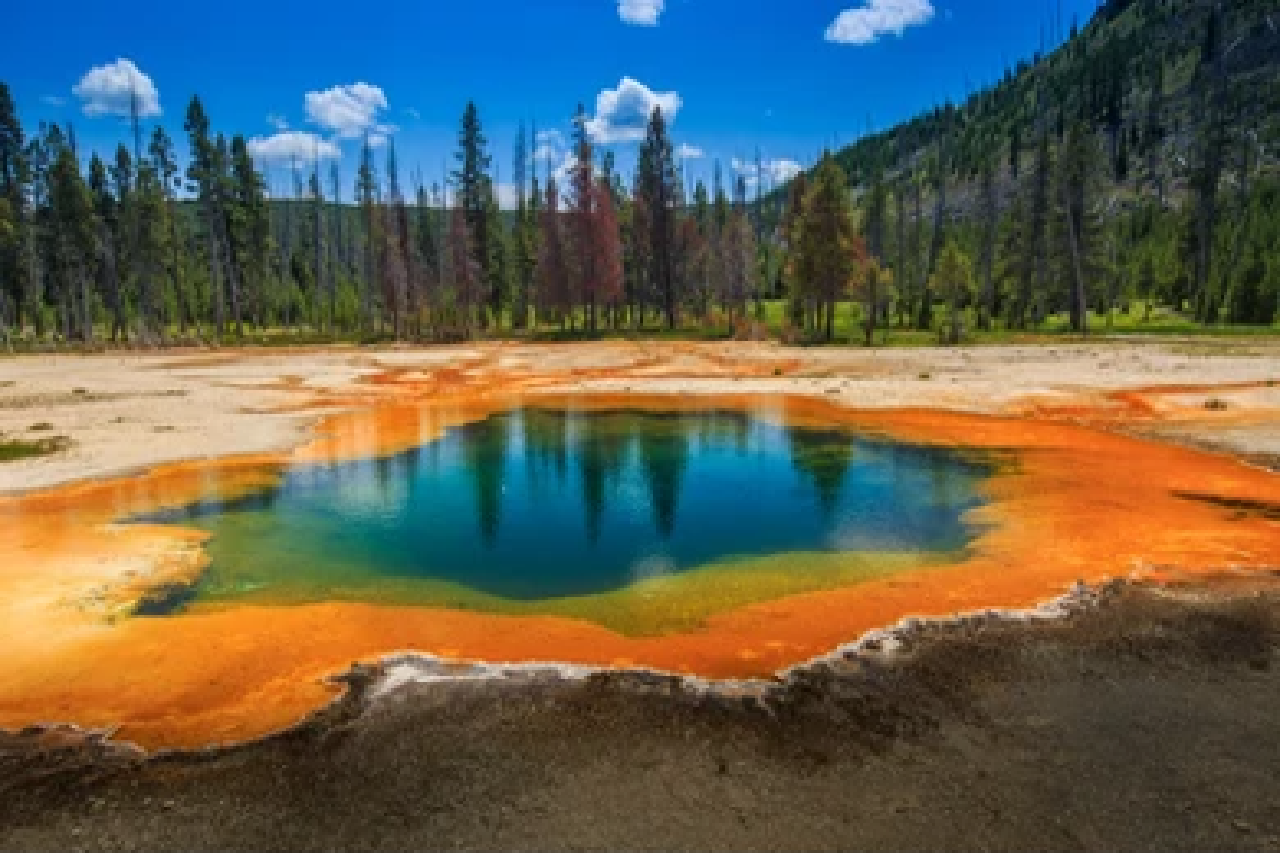 Yellowstone & Grand Teton 4-Day Wildlife Safari