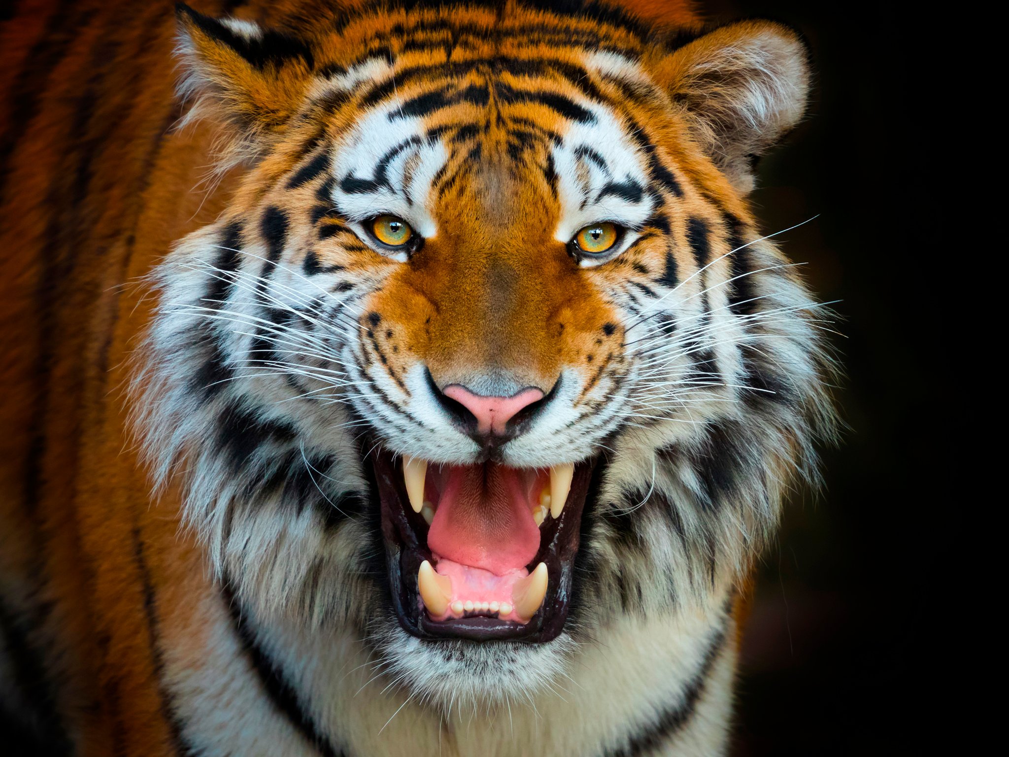 Terra Natura Benidorm Wildlife Park Full-Day Entry