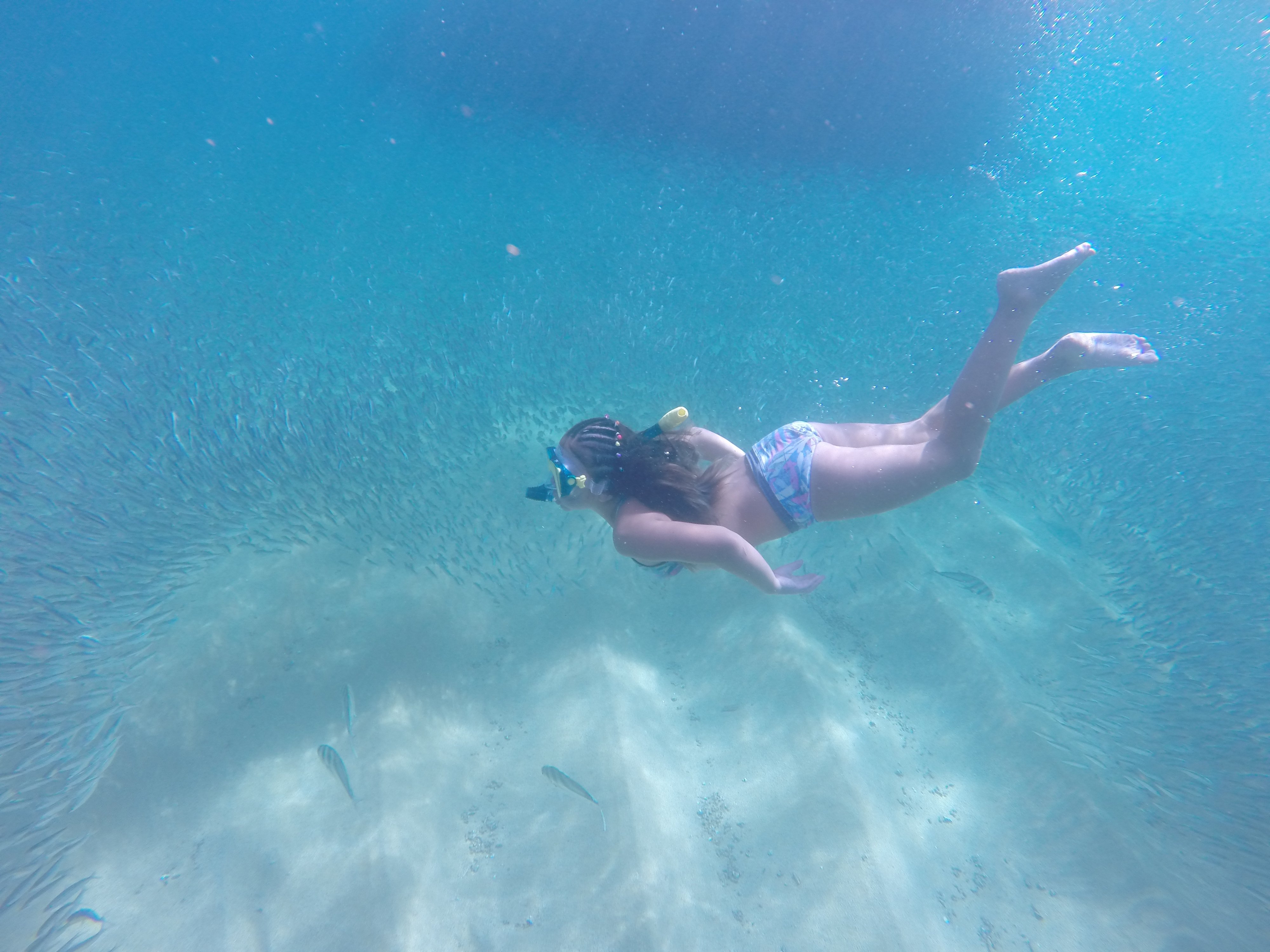 Cabo Private Catamaran: The Arch, Sea Lions & Snorkel for Groups up to 12
