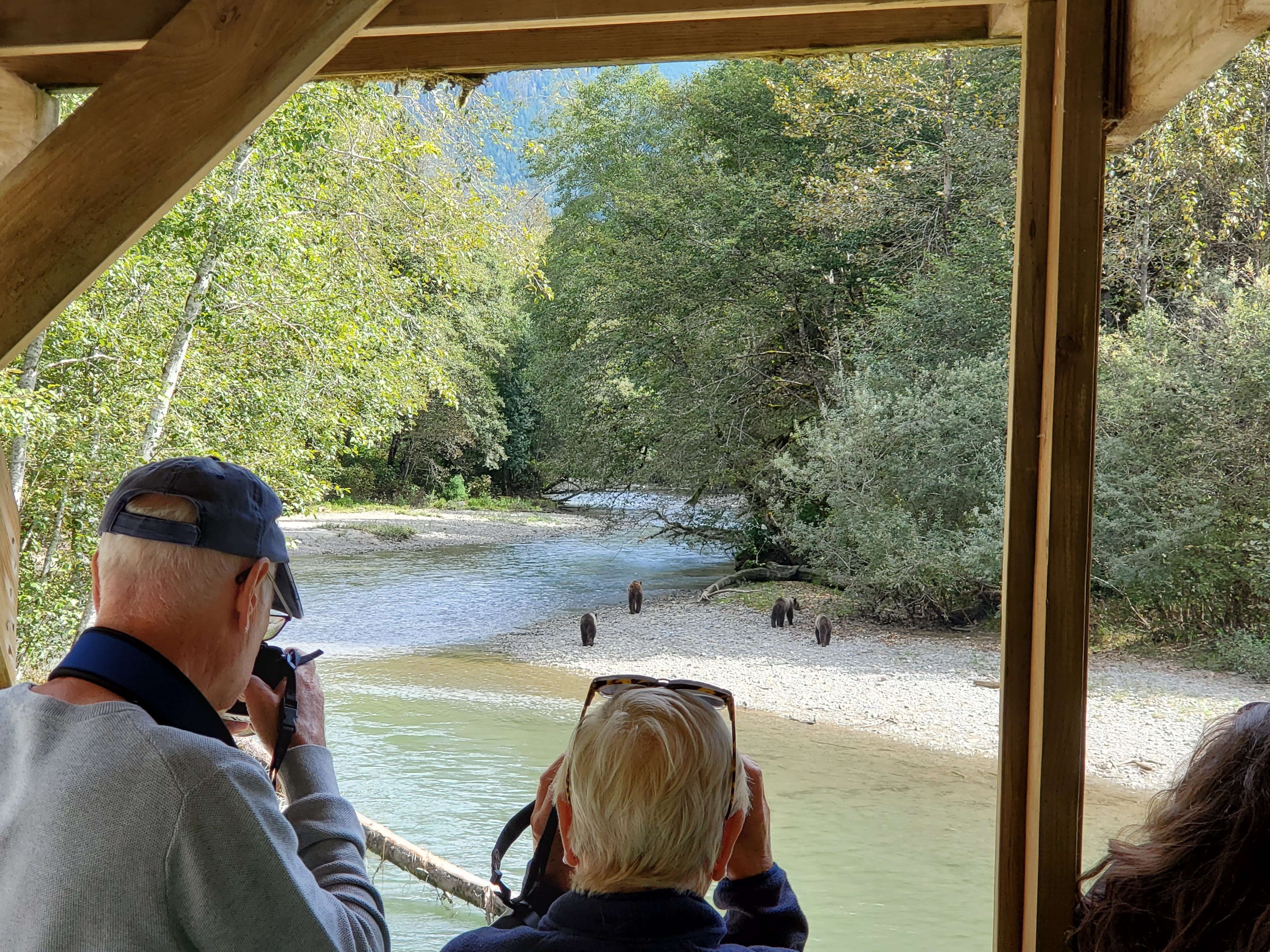 Campbell River: Grizzly Bear Safari & Homalco Cultural Experience