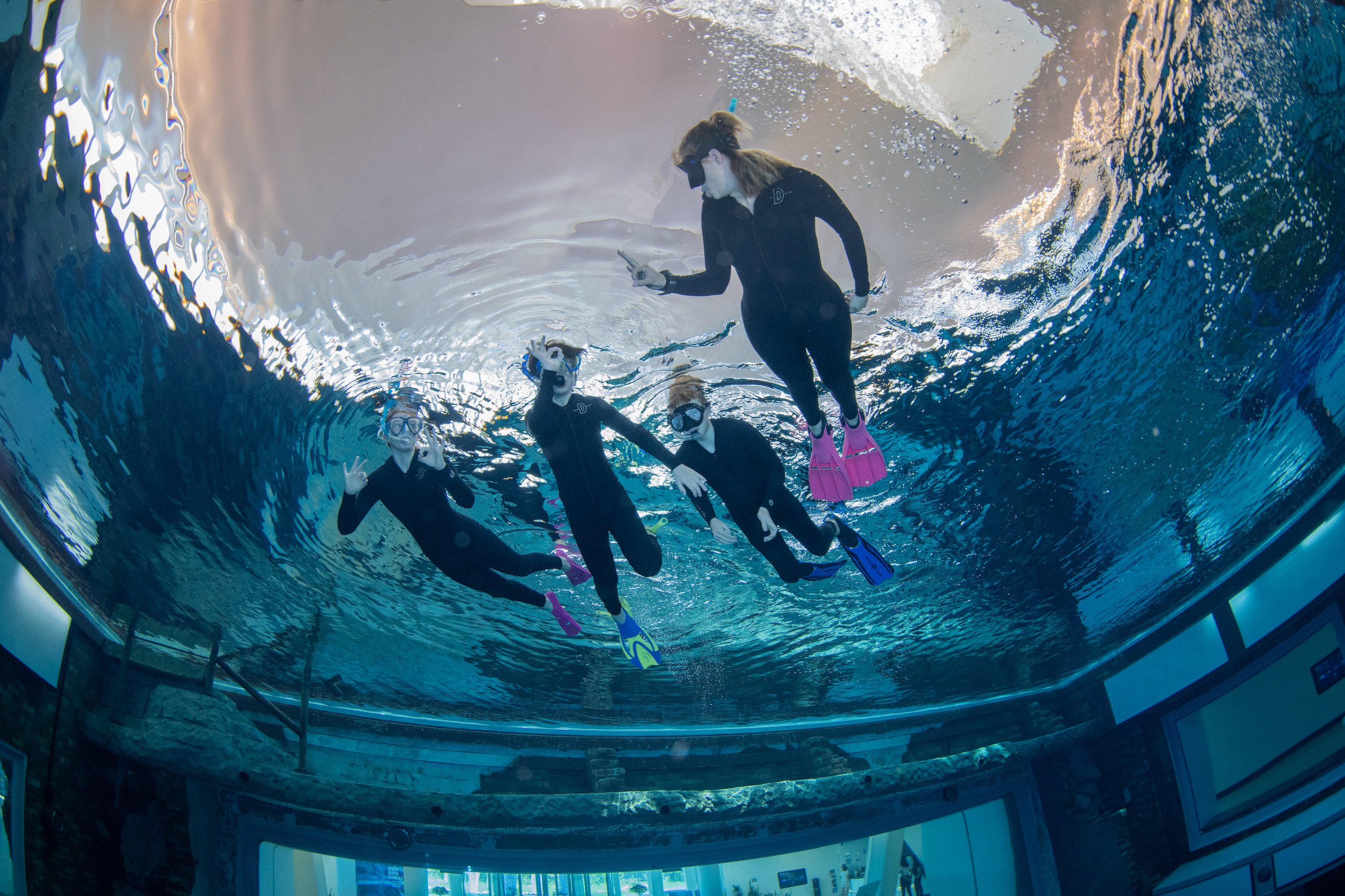 Snorkeling Experience at Deep Dive Dubai Pool
