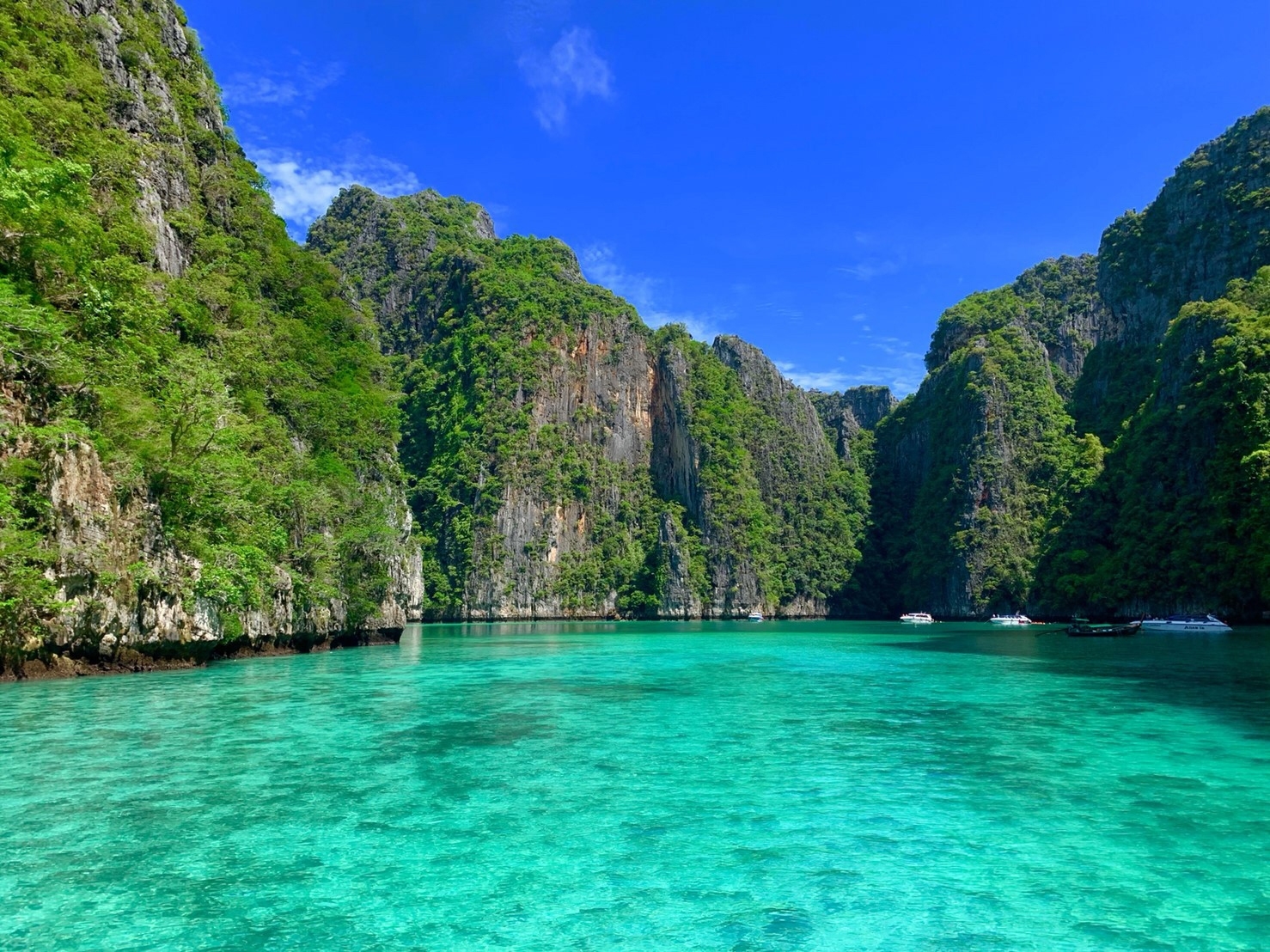 Phi Phi Islands Speedboat Adventure from Krabi with Buffet Lunch