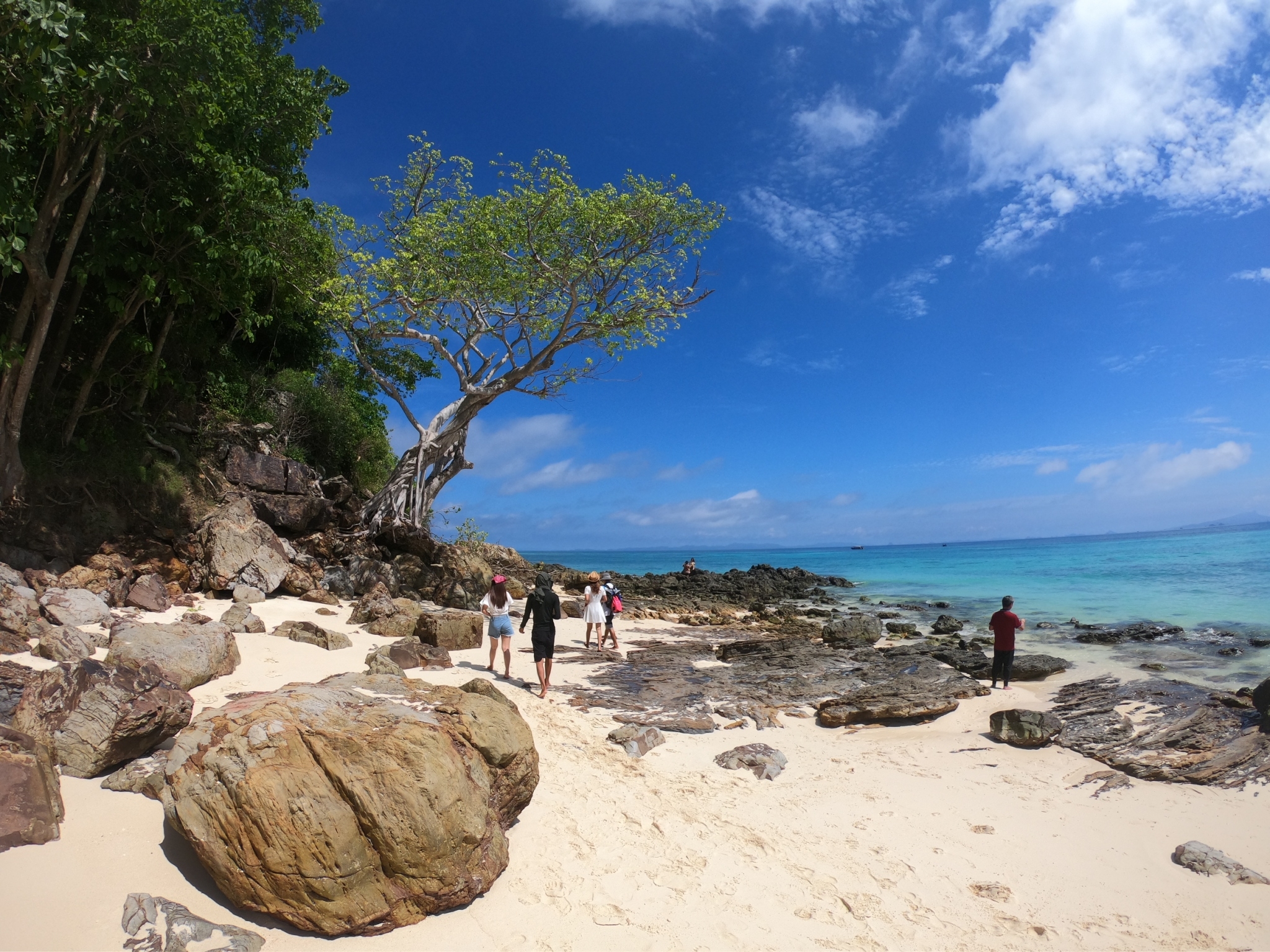 Phi Phi Islands Speedboat Adventure from Krabi with Buffet Lunch