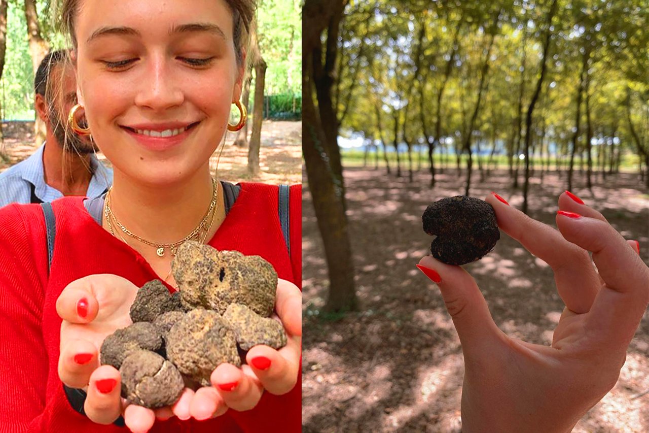 Tuscany truffle hunting tour with dogs and lunch — image 4