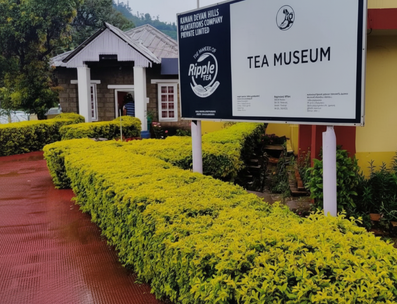 Munnar Highlands & Tea Plantation Day Tour from Kochi