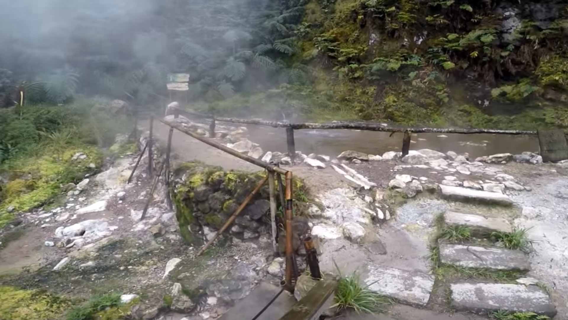 Lagoa do Fogo Volcano & Hot Springs Biologist-Led Tour