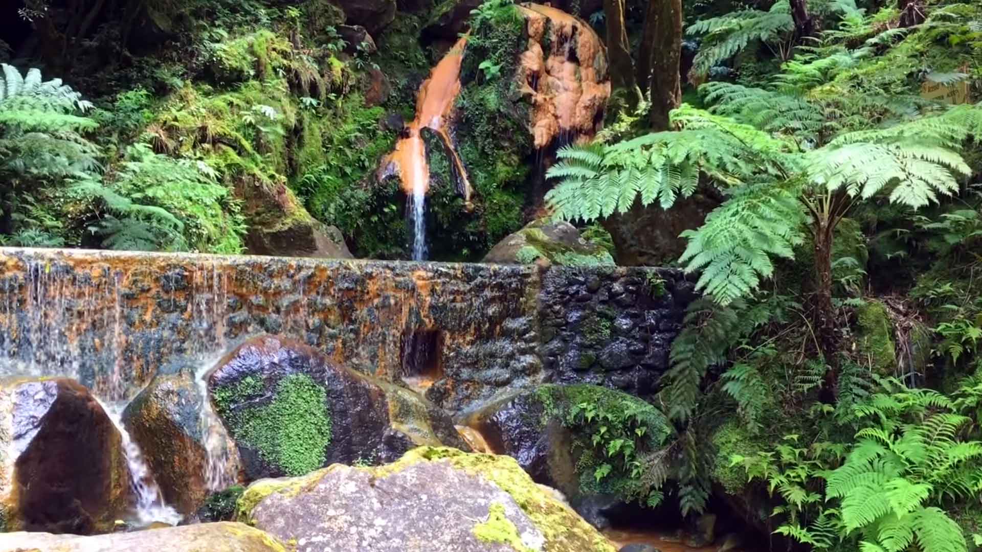 Lagoa do Fogo Volcano & Hot Springs Biologist-Led Tour